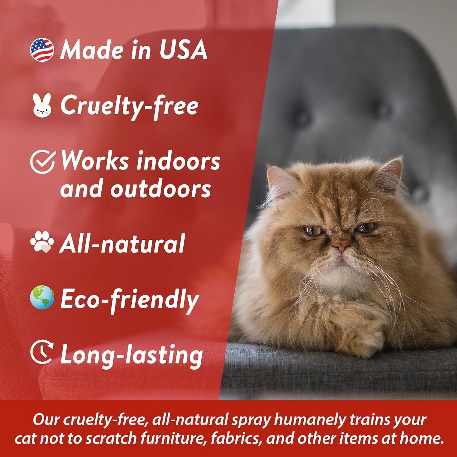 Bodhi 3-in-1 Cat & Kitten Training Aid - Cat Deterrent Spray for Indoor and Outdoor Use - Repellent to Establish Boundaries, Keep Cats Off Furniture