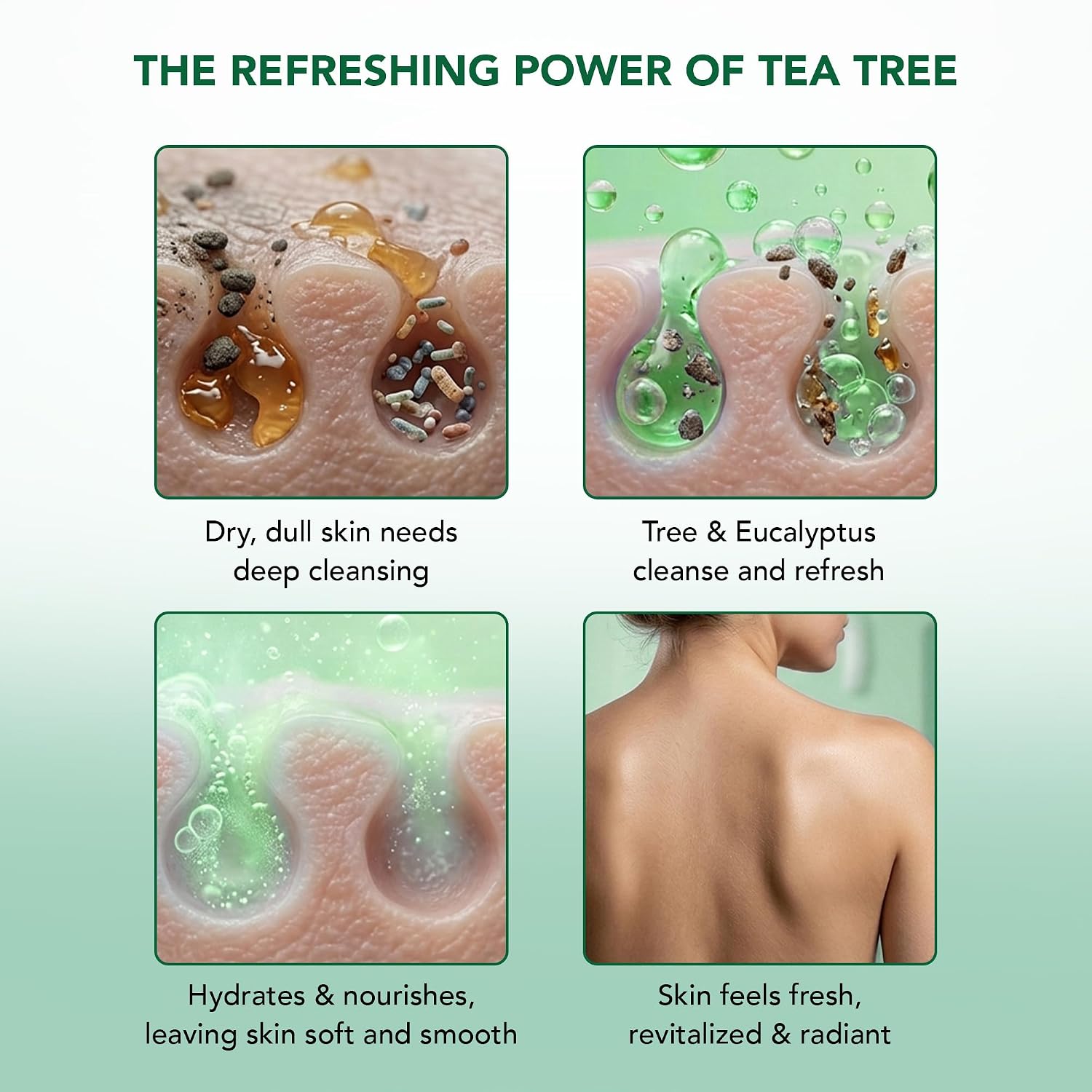 Botanic Hearth Tea Tree Body Wash With 100% Tea Tree Oil - 16 Fl oz