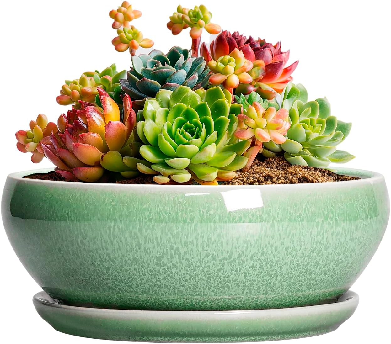 SQOWL 7 Inch Round Ceramic Succulent Planter Pot Drip Glazed Shallow Planter with Drainage Bamboo Tray for Indoor Plants