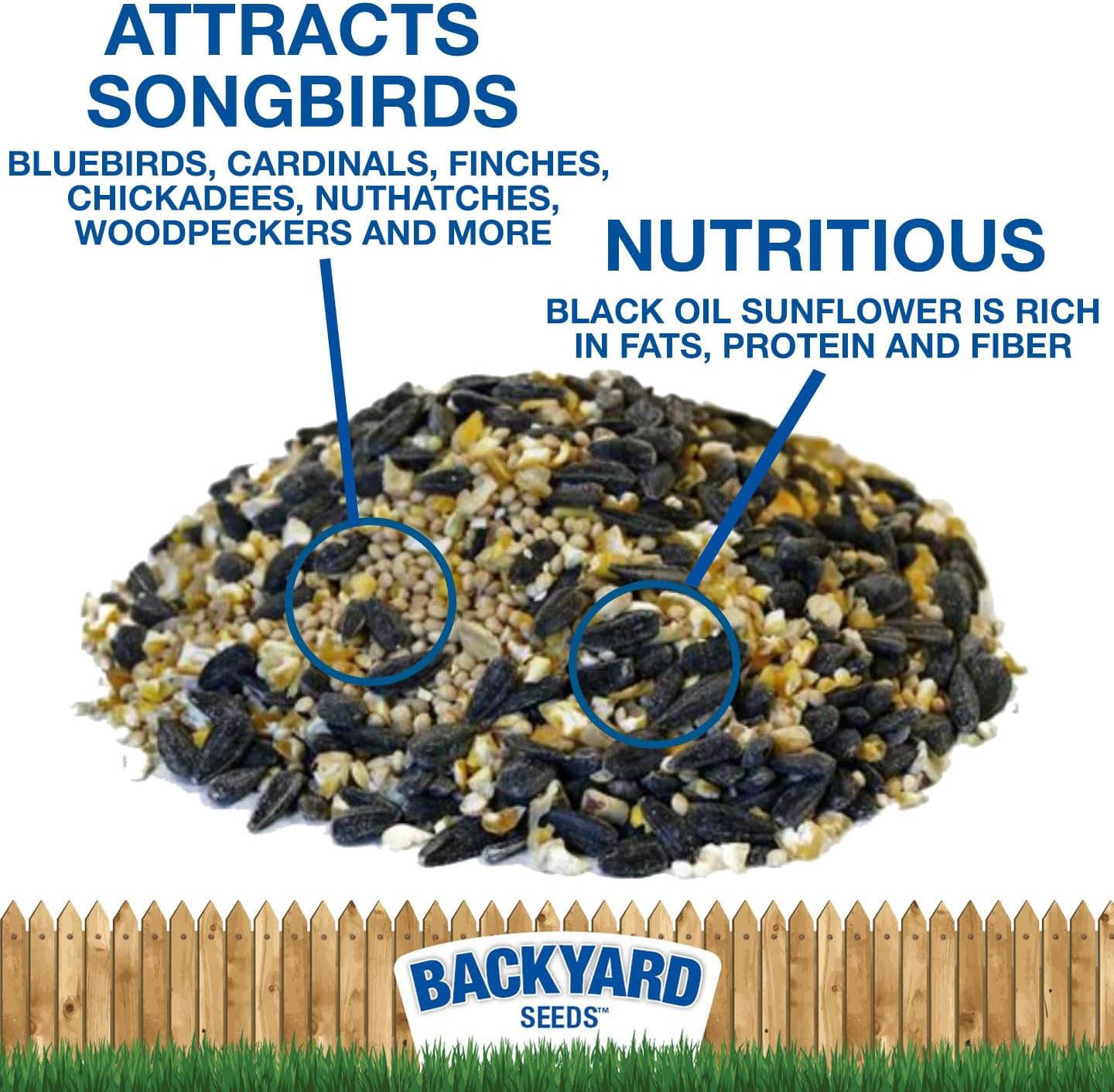 CountryMax Backyard Seeds Songbird Blend Mixed Bird Seed - Attracts Bluebirds, Cardinals, Chickadees (7 Pounds)