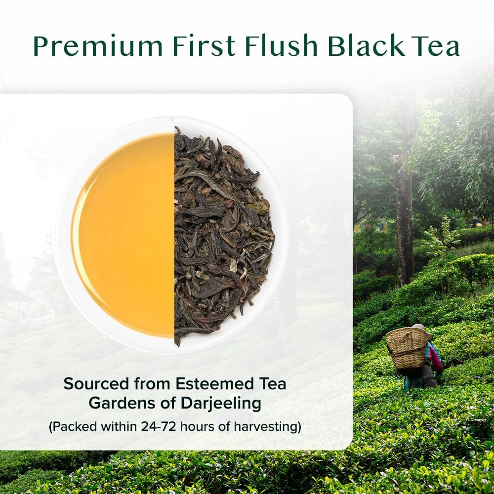 VAHDAM, Green Tea Leaves From Himalayas 170+ Cups (12oz) High Elevation Grown Green Tea Leaves From Himalayas | Pure Unblended Single Origin Green Loose Leaf Tea | Vacuum Sealed