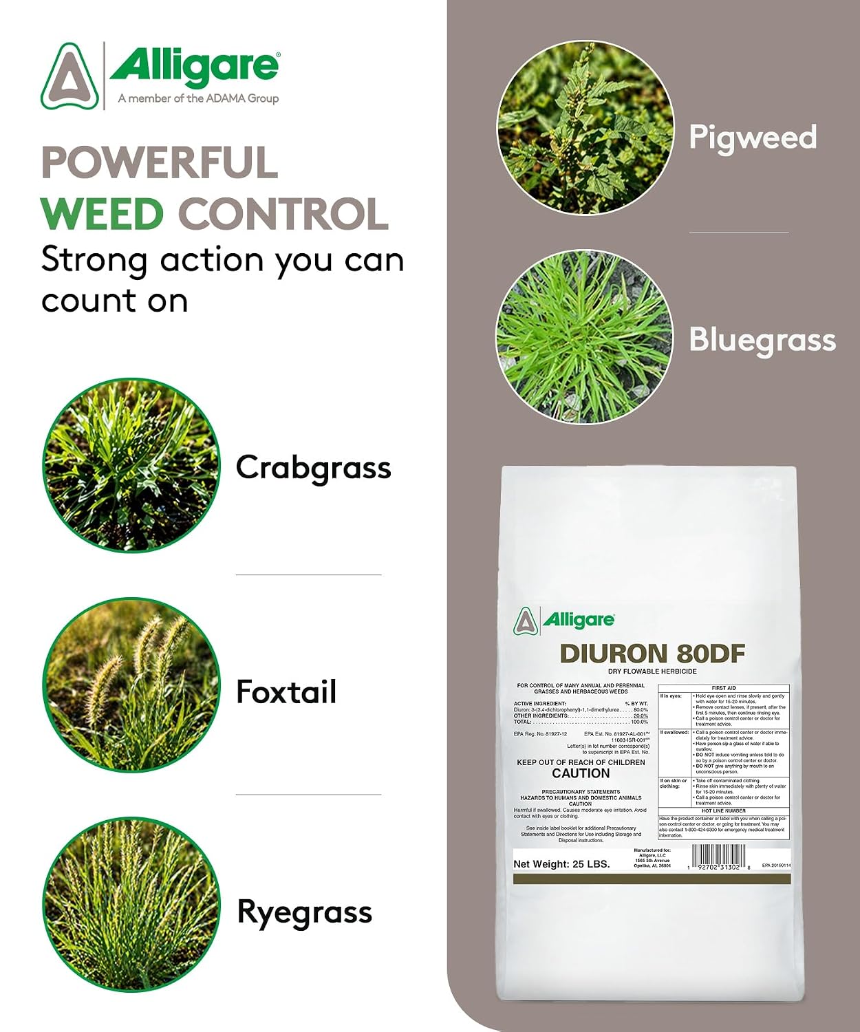 Alligare Diuron 80 DF Herbicide - Pre- & Post-Emergent Weed Killer for Industrial & Non-Crop Areas - Controls Crabgrass, Ryegrass & Broadleaf Weeds - Dry Granules for Ground Application - 5 lb