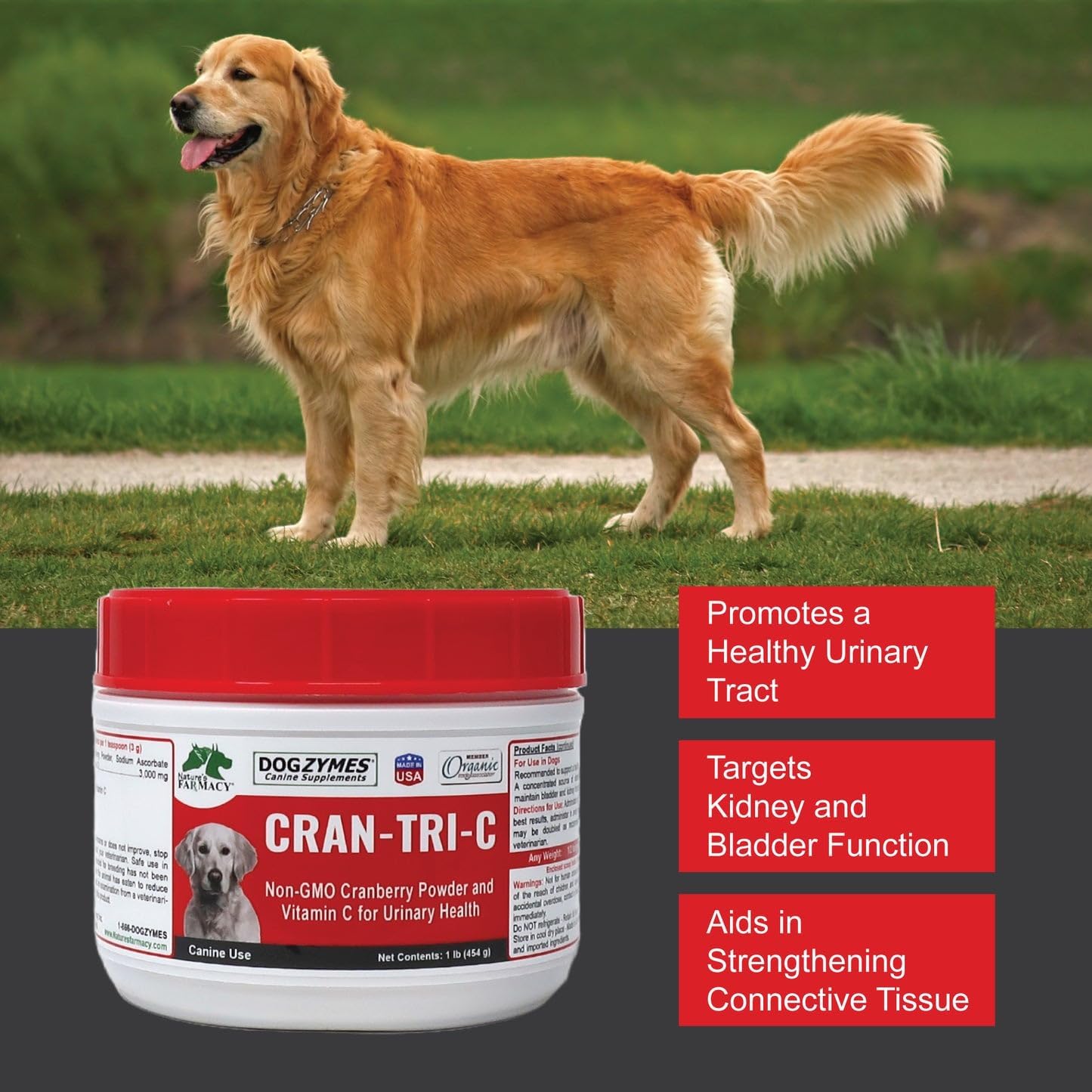 Dogzymes Cran Tri C Urinary Tract Support, Vitamin C Blend, 1418mg per Teaspoon (1 Pound)