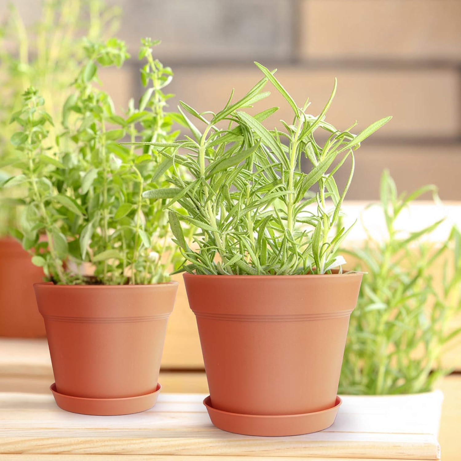 homenote 7.5 Inch Plastic Flower Pots with Drainage Holes and Trays (8 Pcs)