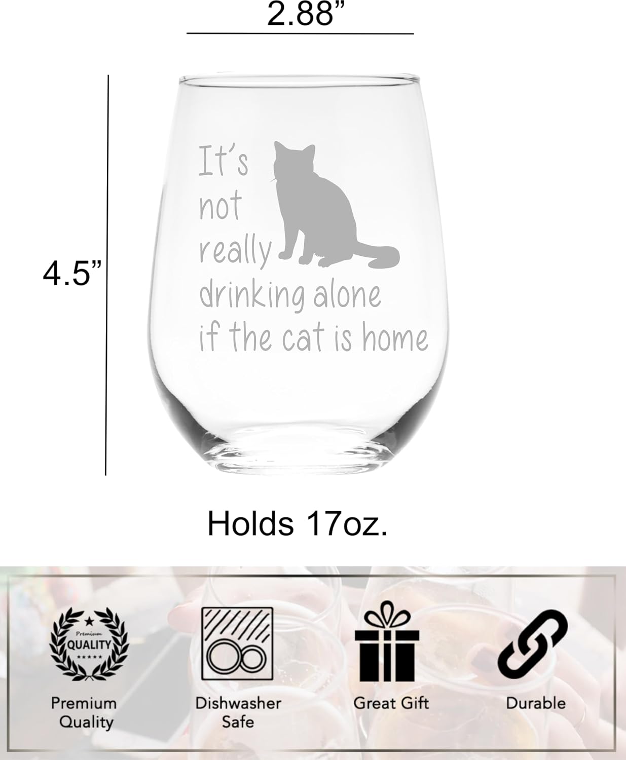 C M The Cat is Home Funny Stemless Wine Glass, Style C1 | Cat Themed Gift, For Women and Men, 17 oz