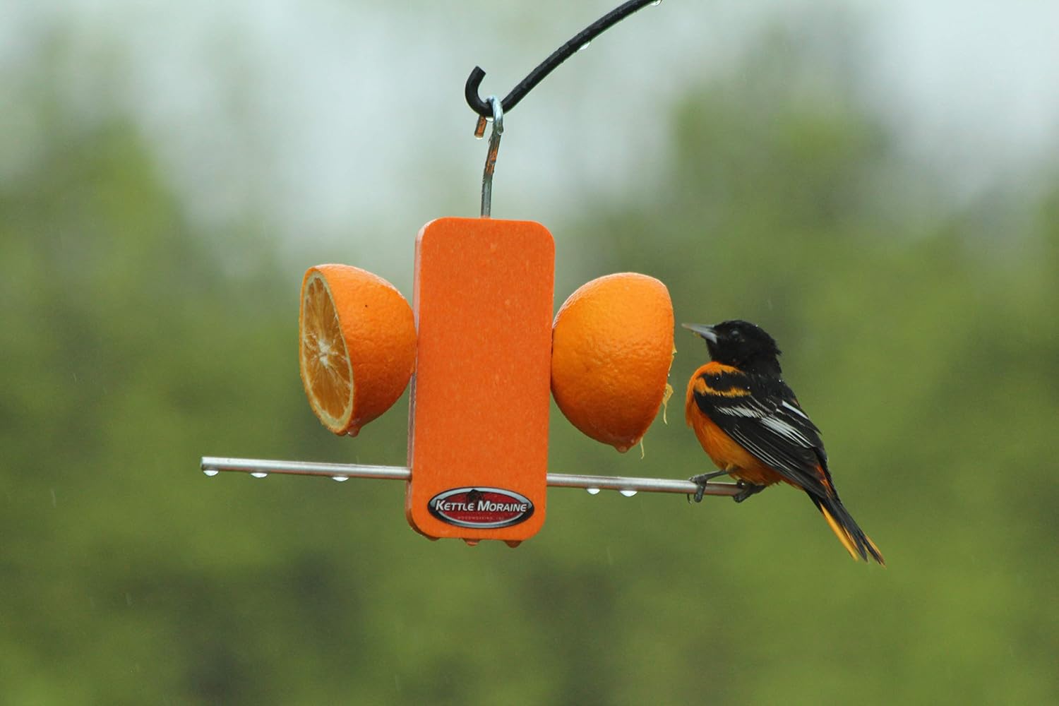 Recycled Single Oriole Orange Fruit Stick Feeder