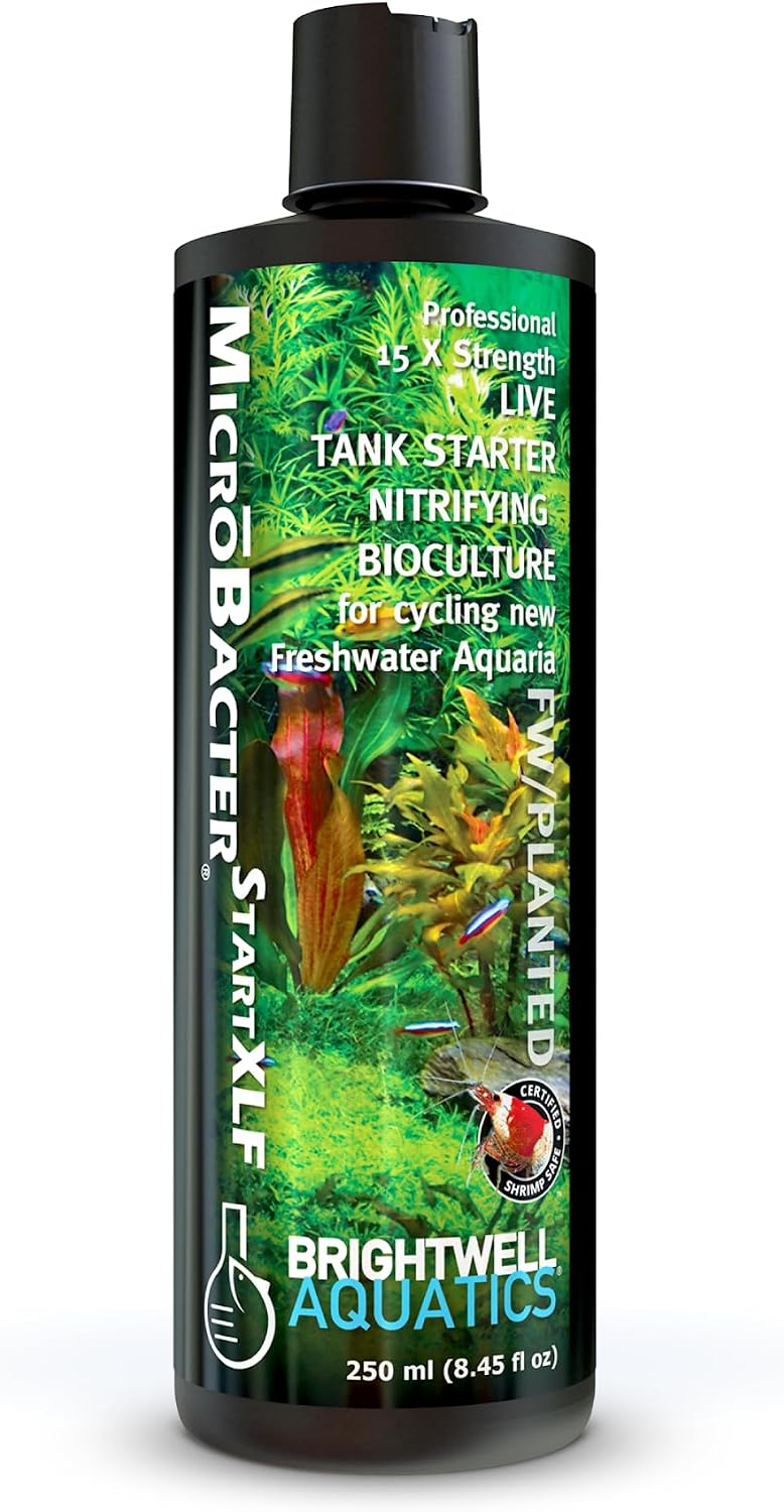 Brightwell Aquatics MicroBacter Start XLF Freshwater Tank Starter, 125 ml