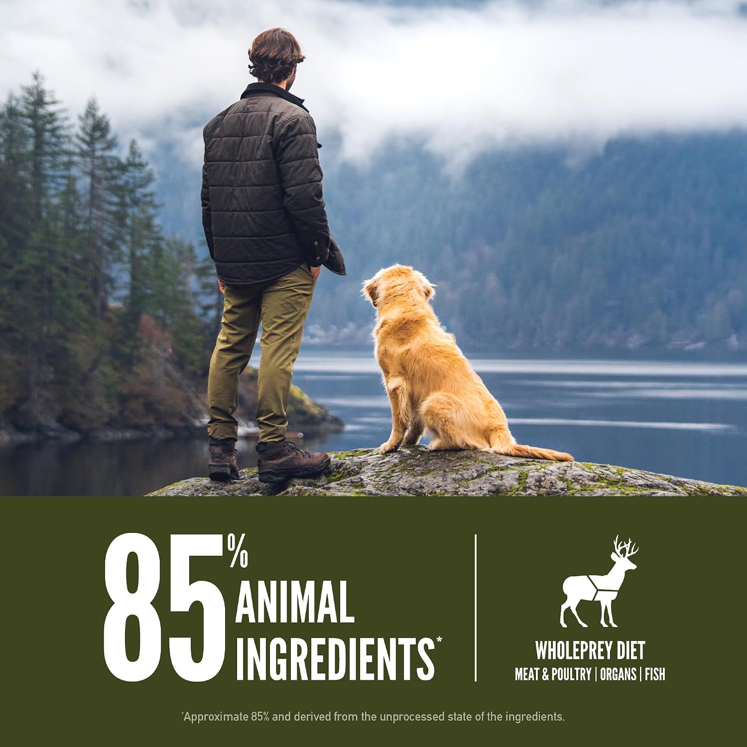 ORIJEN Grain Free WHOLEPREY Dry Dog Food Original Recipe 13lb. Bag | WHOLEPREY Ingredients, Grain Free, Made in the USA, Skin & Coat, Global Quality Ingredients