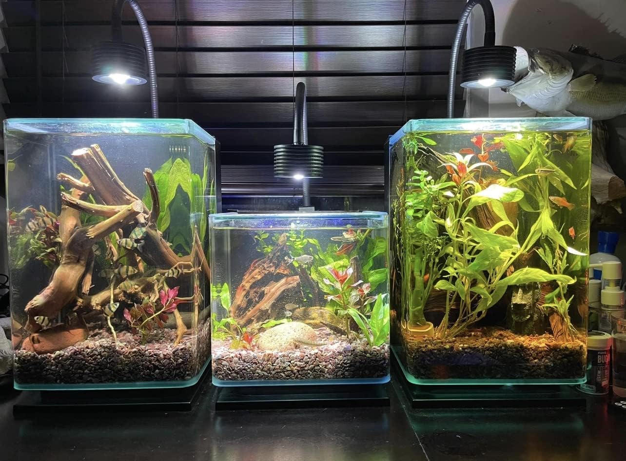 Lominie LED Aquarium Light, Planted Tank Light 4 Channels Remote Control 6500K Aquarium LED Lamp for Freshwater Fish Tank Refugium with Gooseneck (A20 Freshwater)