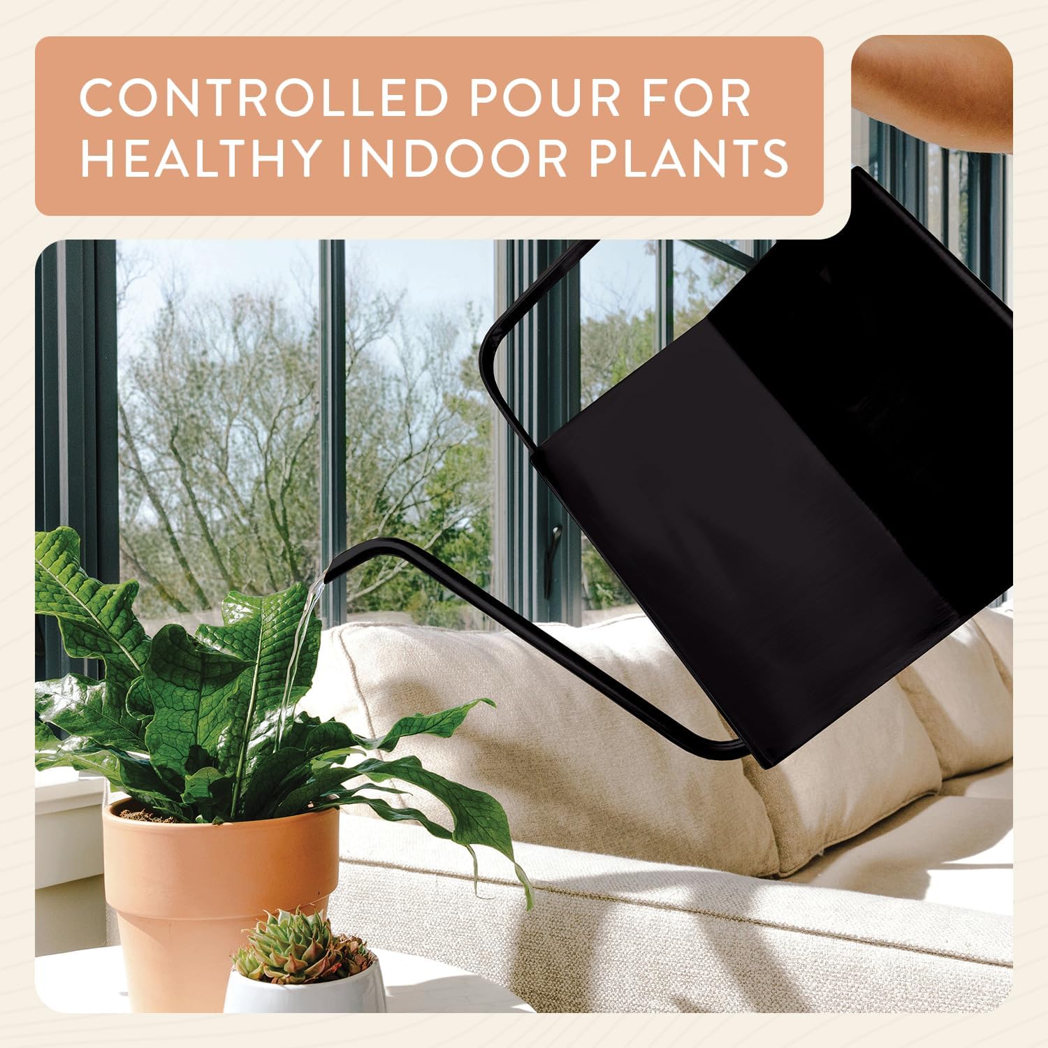 Modern Sprout Brass Watering Can - 3L Stainless Steel - Long Spout (Black)