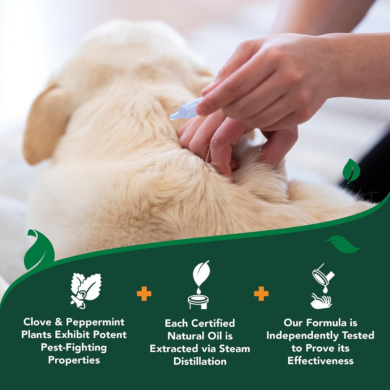 Vet's Best Flea & Tick Drops for Large Dogs, Flea Protection, 4Month Supply | Plant-Based Spot-On Treatment, Essential Oils, Helps Prevent Fleas & Ticks, Four Monthly Applications for Dogs