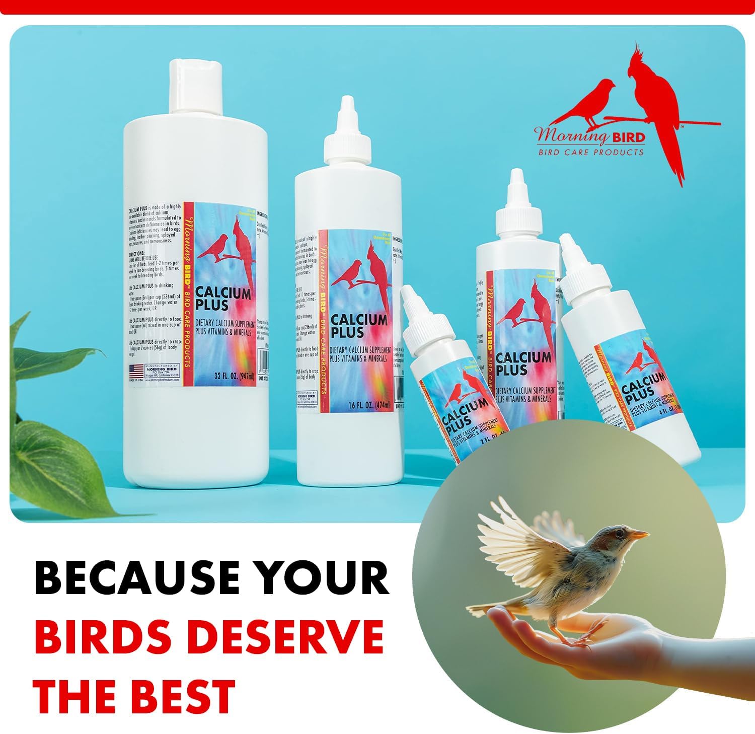 Calcium Plus Liquid for Birds – Calcium Supplement with Vitamins and Minerals for Strong Eggshells, Healthy Bones - Support Growth, Breeding, and Wellness for All Birds 4 Fl Oz | Calcium Supplement - Supports Healthy Growth, Bone Strength, Breeding, Brai…