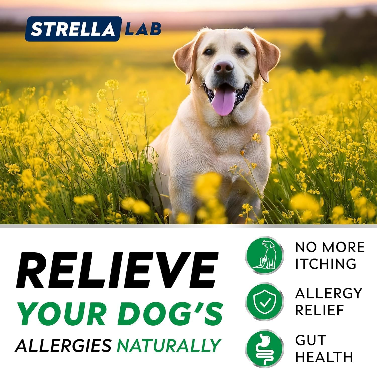 Dog Allergy & Itching Relief - Anti Itch, Skin&Coat Support Chews w/Omega 3