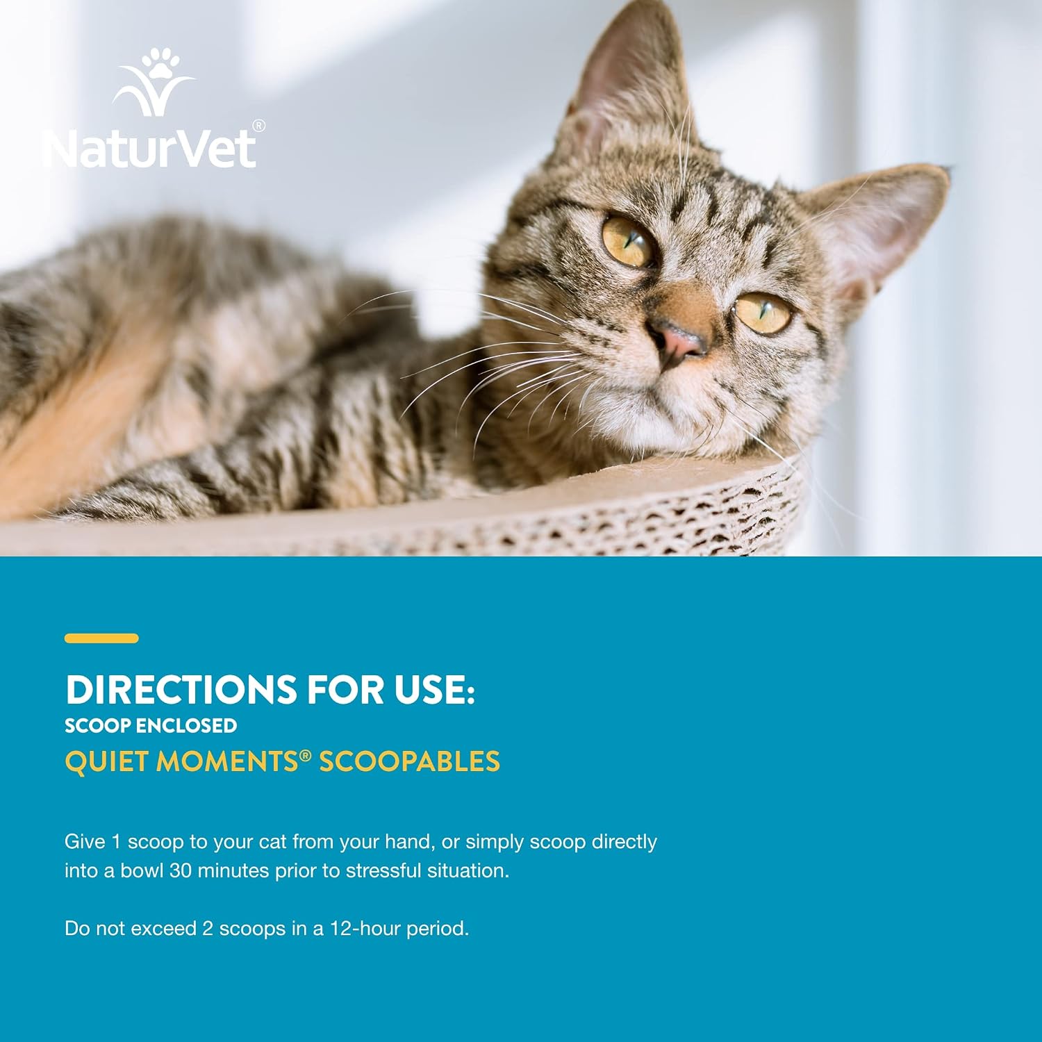 NaturVet Quiet Moments Calming Plus Melatonin Cat Supplement - 50 Count | Calming Aid for Cats - Reduce Stress, Pet Storm Anxiety, Motion Sickness - Great for Grooming, Separation and Travel