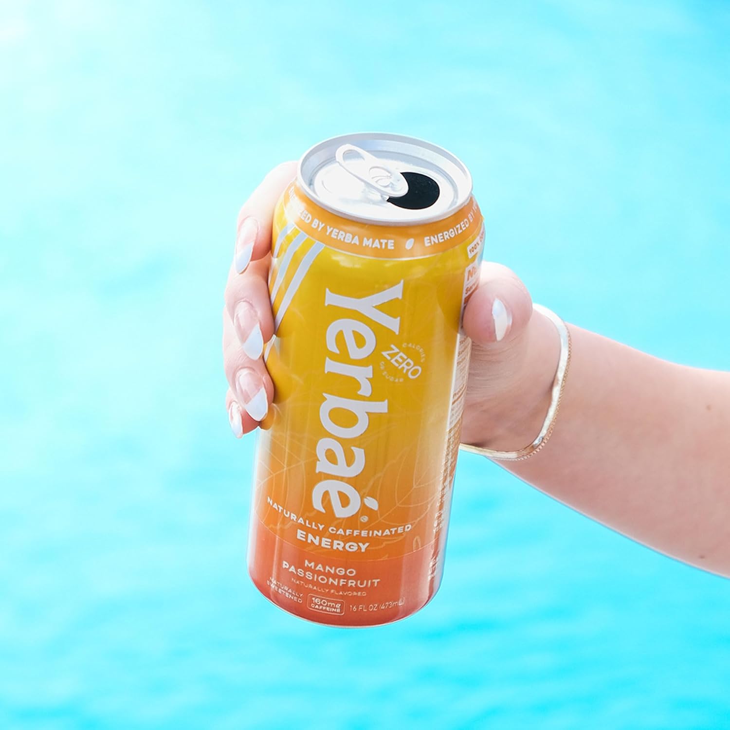 Yerbaé Energy Seltzer - Variety Performance Pack. No Sugar/Calories/Carbs. Energized by Yerba Mate Naturally Caffeinated Plant-Based, Healthy Alternative to Coffee/Sugary Sodas, Pack of 12, 12oz cans