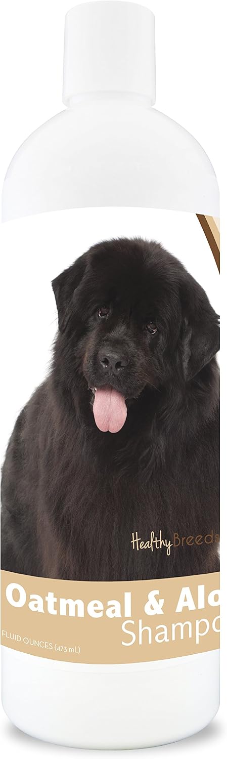 Healthy Breeds Bernese Mountain Dog Oatmeal Shampoo with Aloe 16 oz
