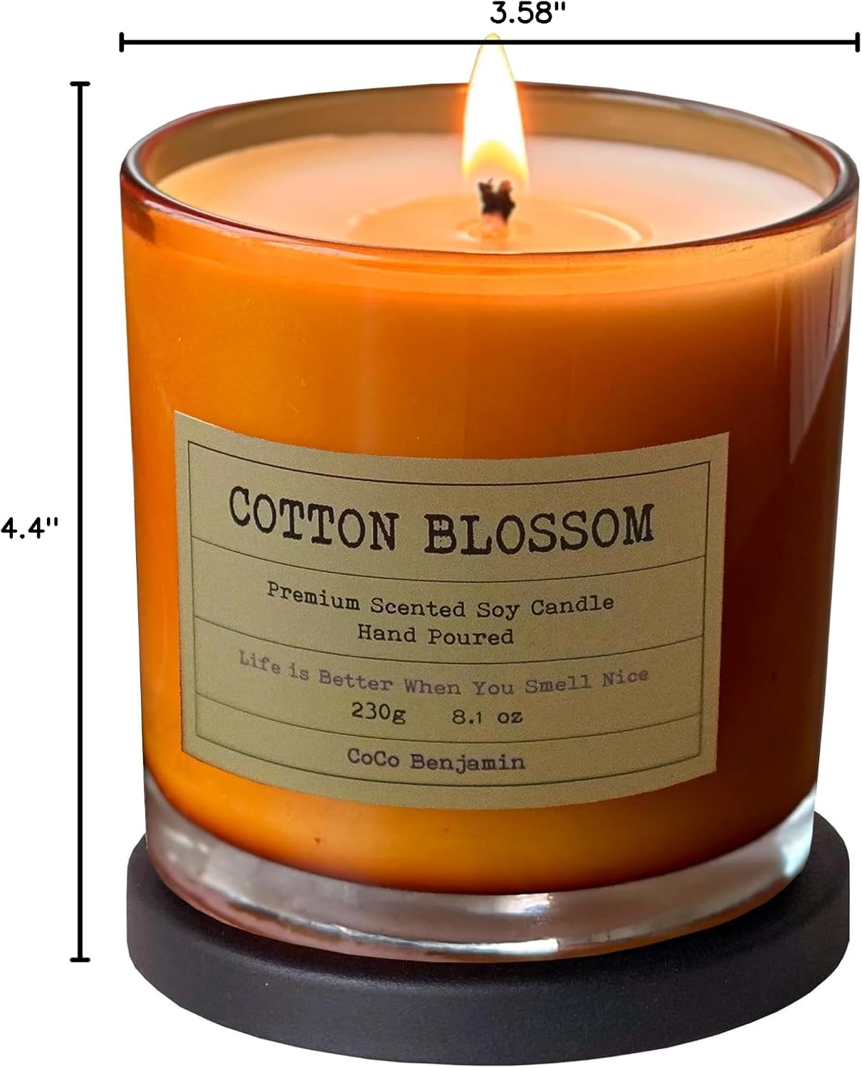100% Natural Soy Wax Candle by CoCo Benjamin - Highly Scented & Hand-Poured Luxury Candle ((Majestic Balsam Fir Trees) - Clean Burning Cotton Wick