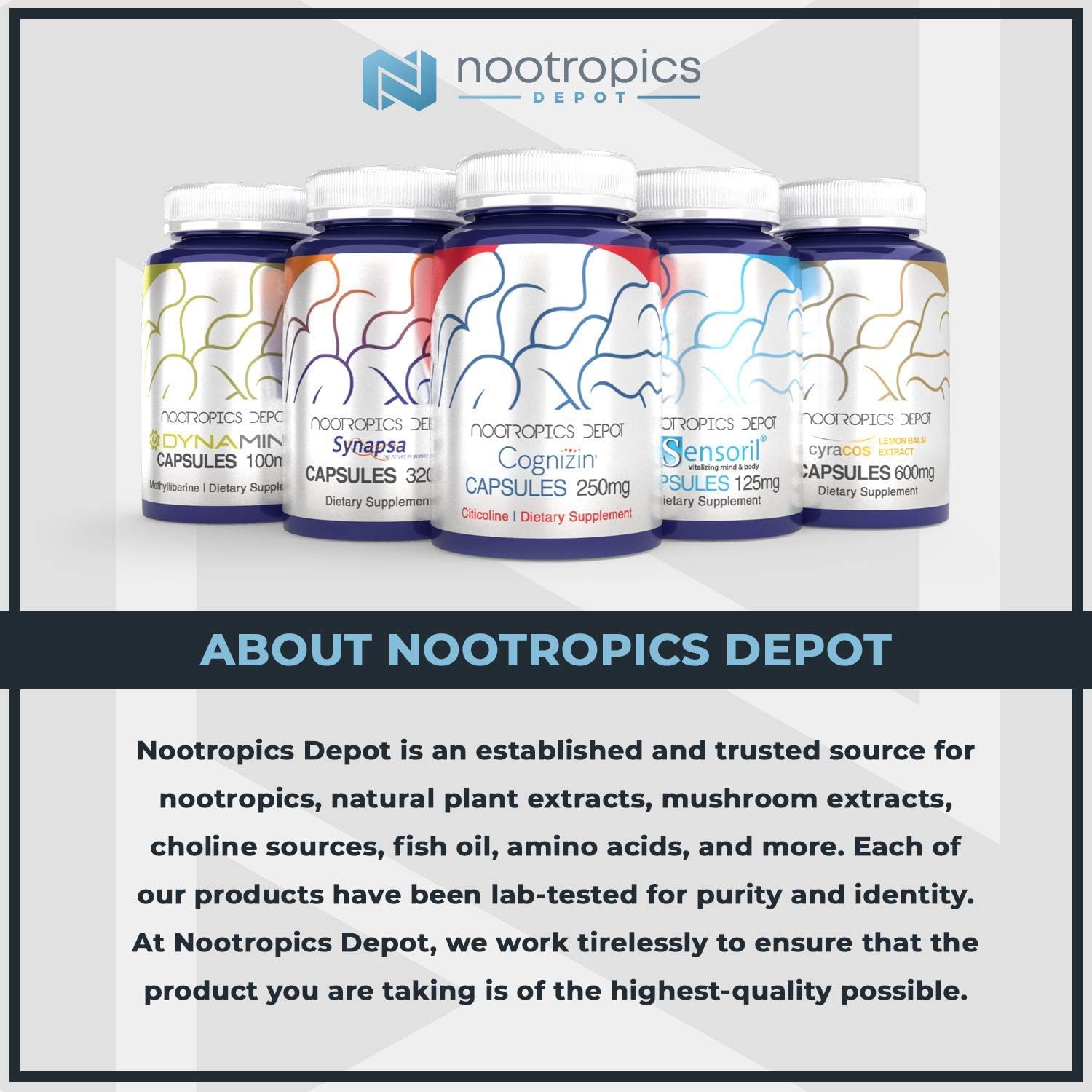 Nootropics Depot Green Tea Extract Tablets | 60 Count | 500mg | Minimum 45% EGCG + 6mg Piperine | Enteric Coated