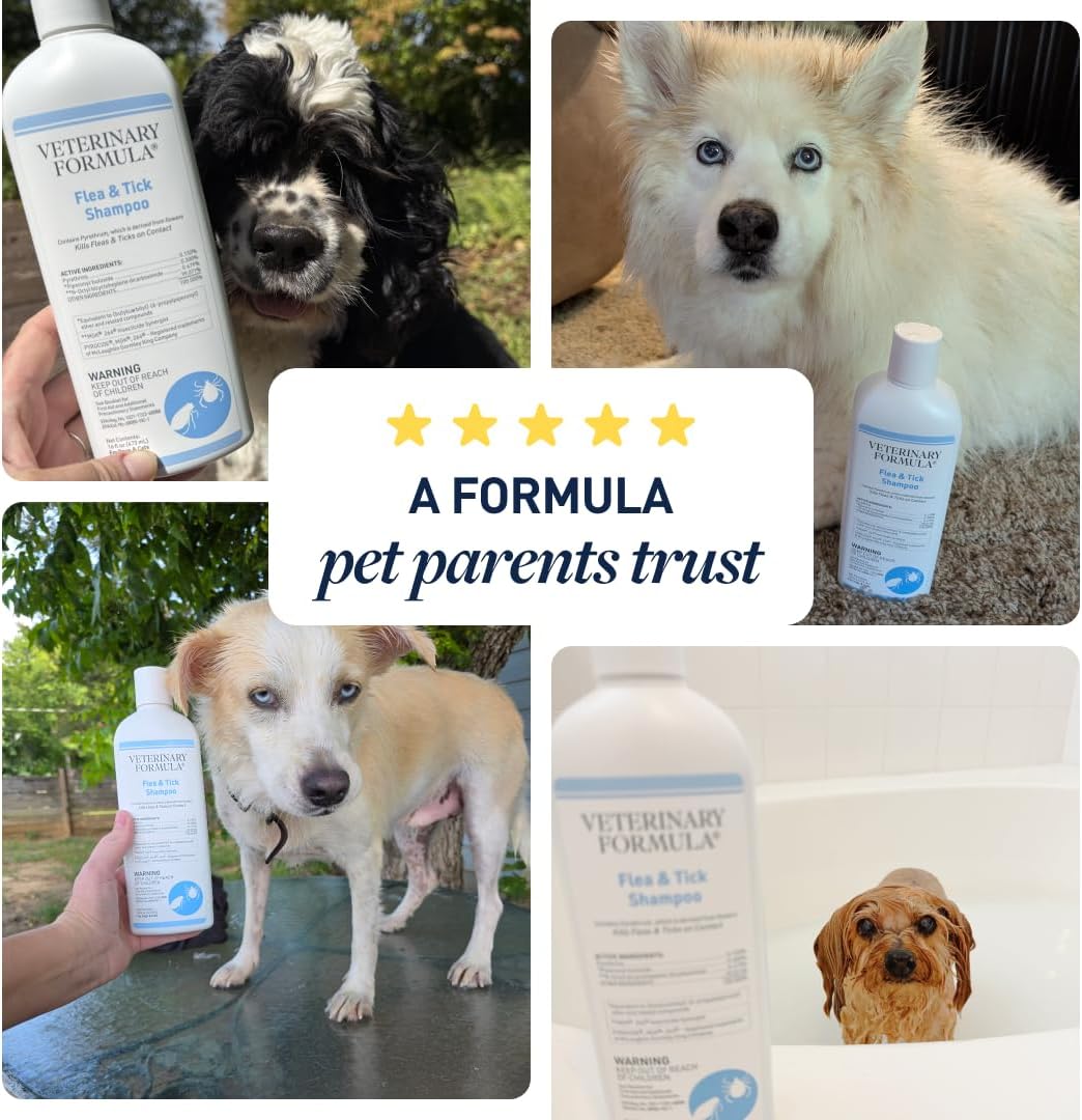 Veterinary Formula Flea and Tick Shampoo for Dogs and Cats, 16 oz