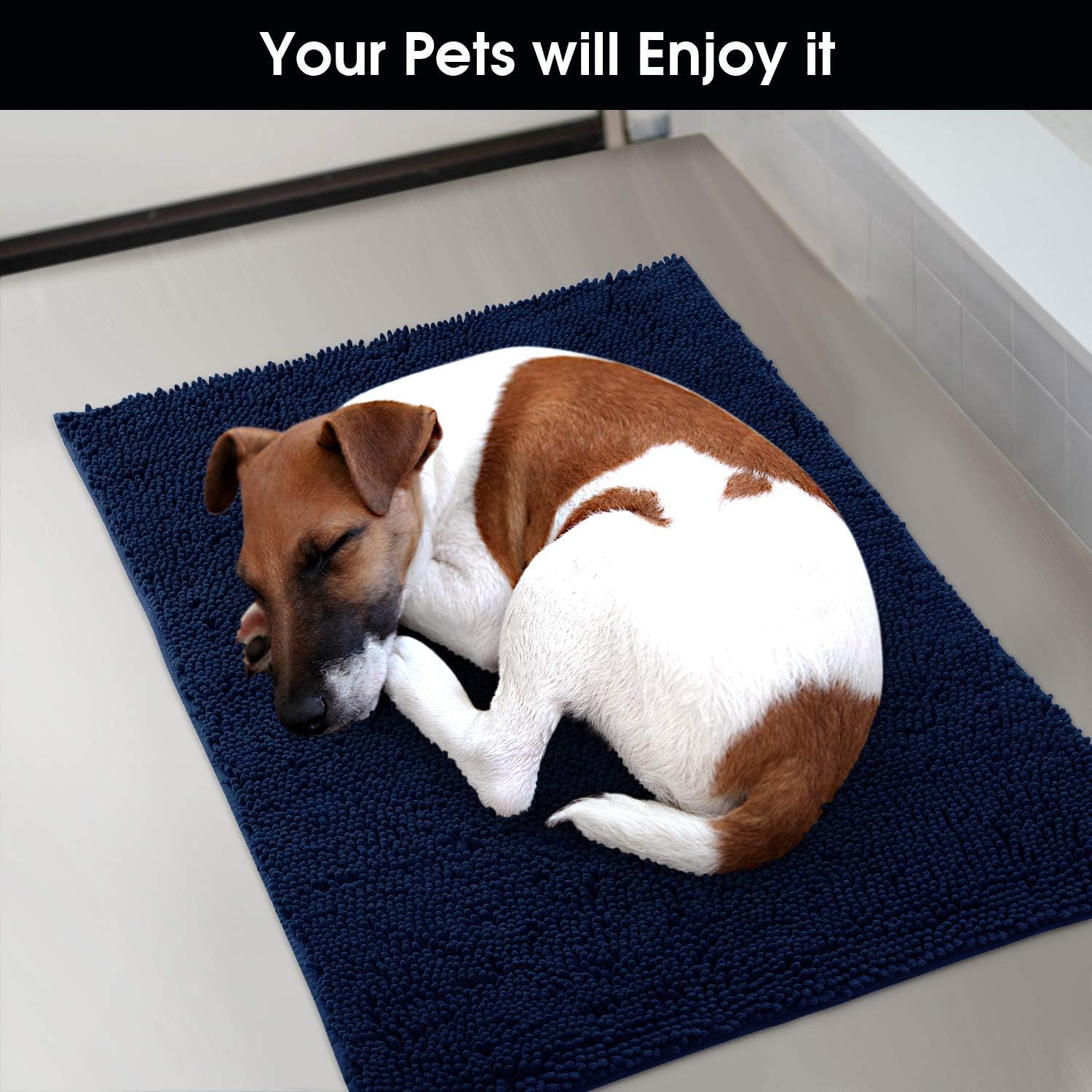HOMEIDEAS Dog Door Mat for Muddy Paws 30x20, Absorbs Moisture and Dirt, Non-Slip Washable Doormat, Soft Chenille Mud Mat for Dogs