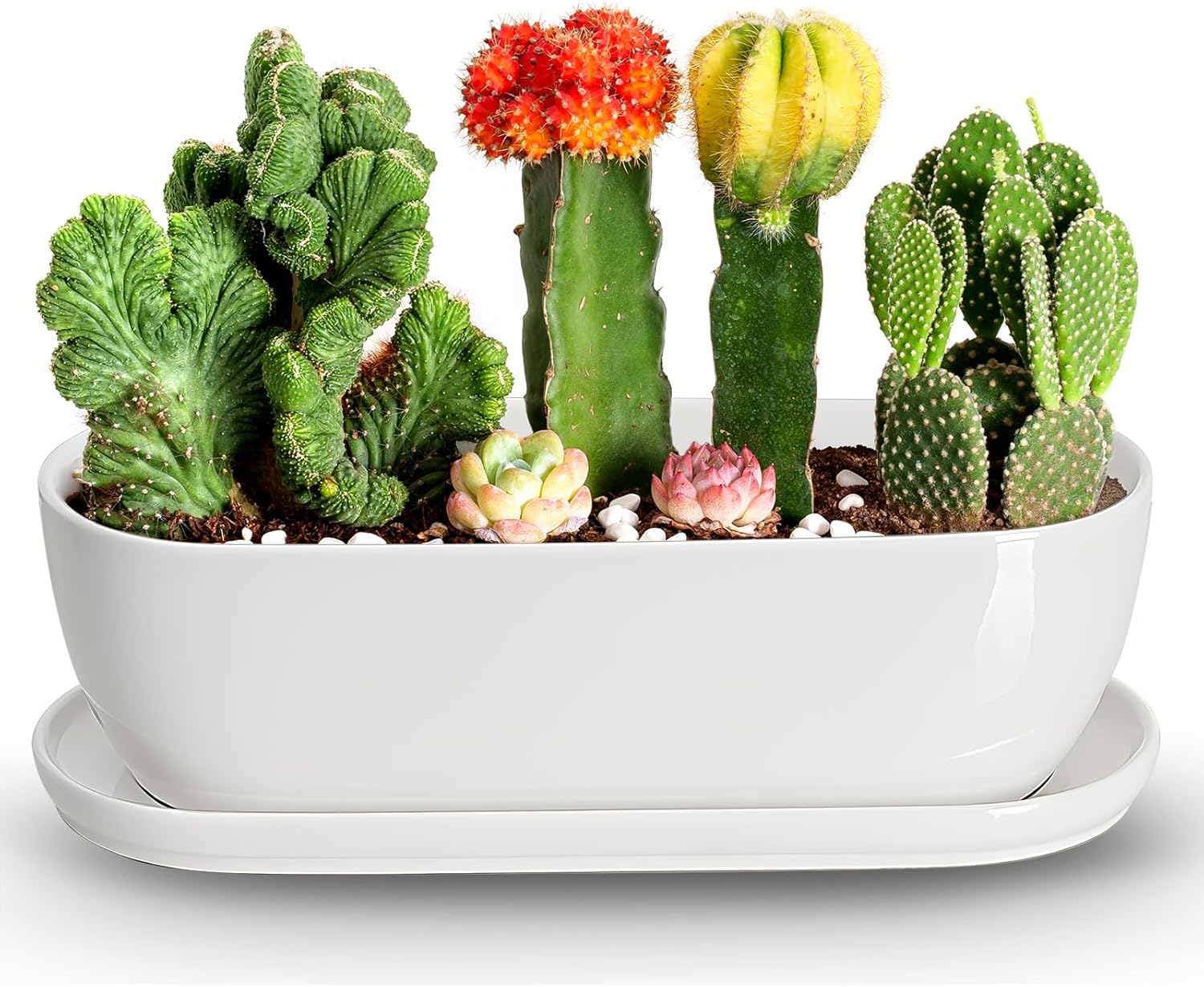 E-liu 11 Inch Oval Ceramic Planter Pot with Drainage Hole Saucers