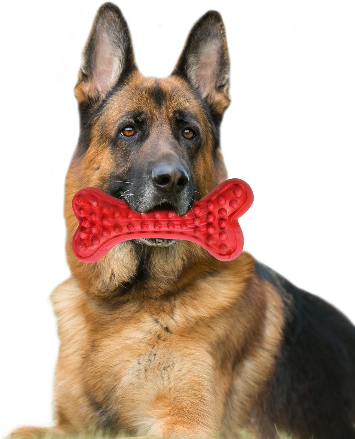 German Shepherd Dog Chew Toys for Aggressive Chewers