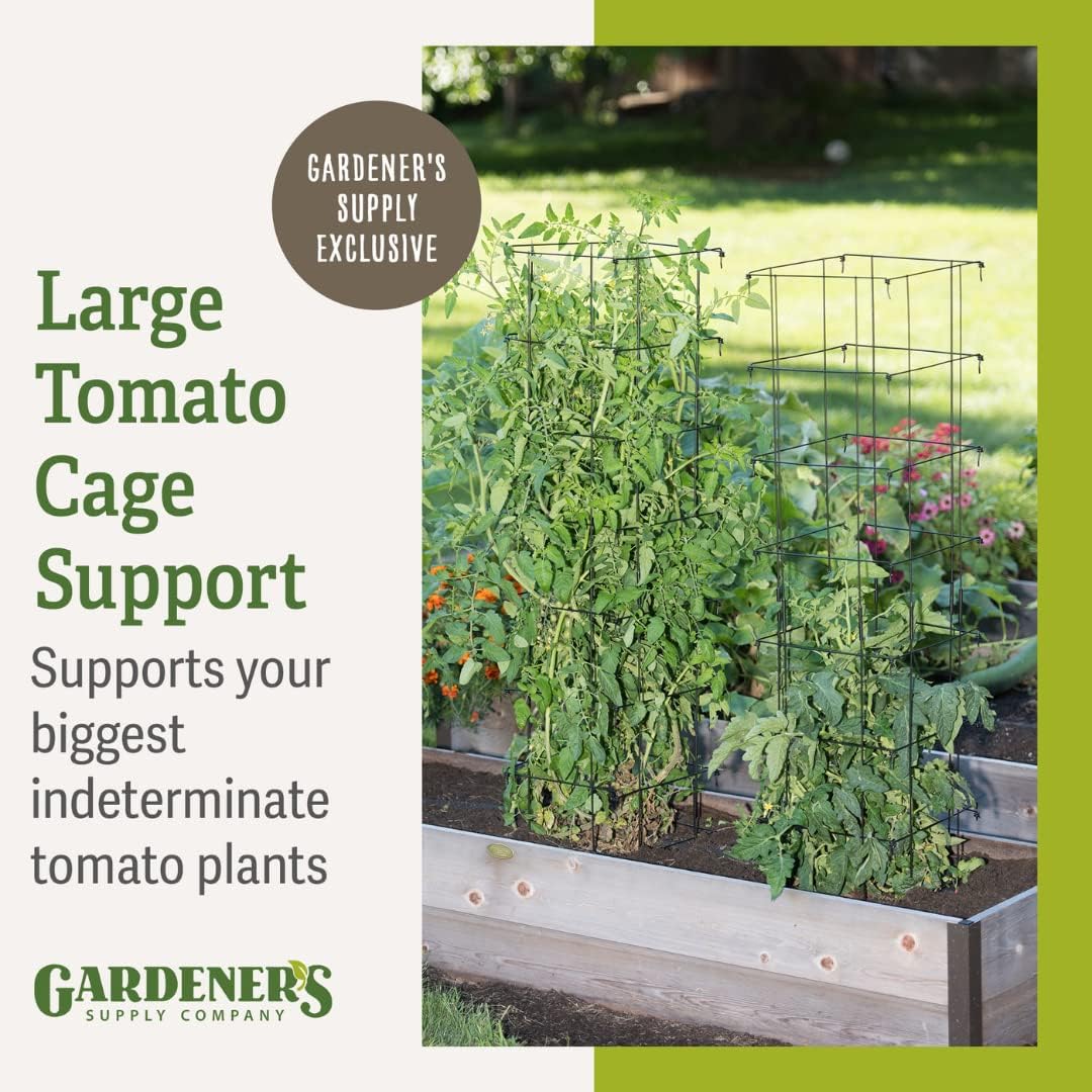 Gardener’s Supply Company Extra Tall Heavy-Guage Square Tomato Cages | Easy Fold Plant Supports & Vegetable Garden Stakes | 14.25" x 14.25" x 65"