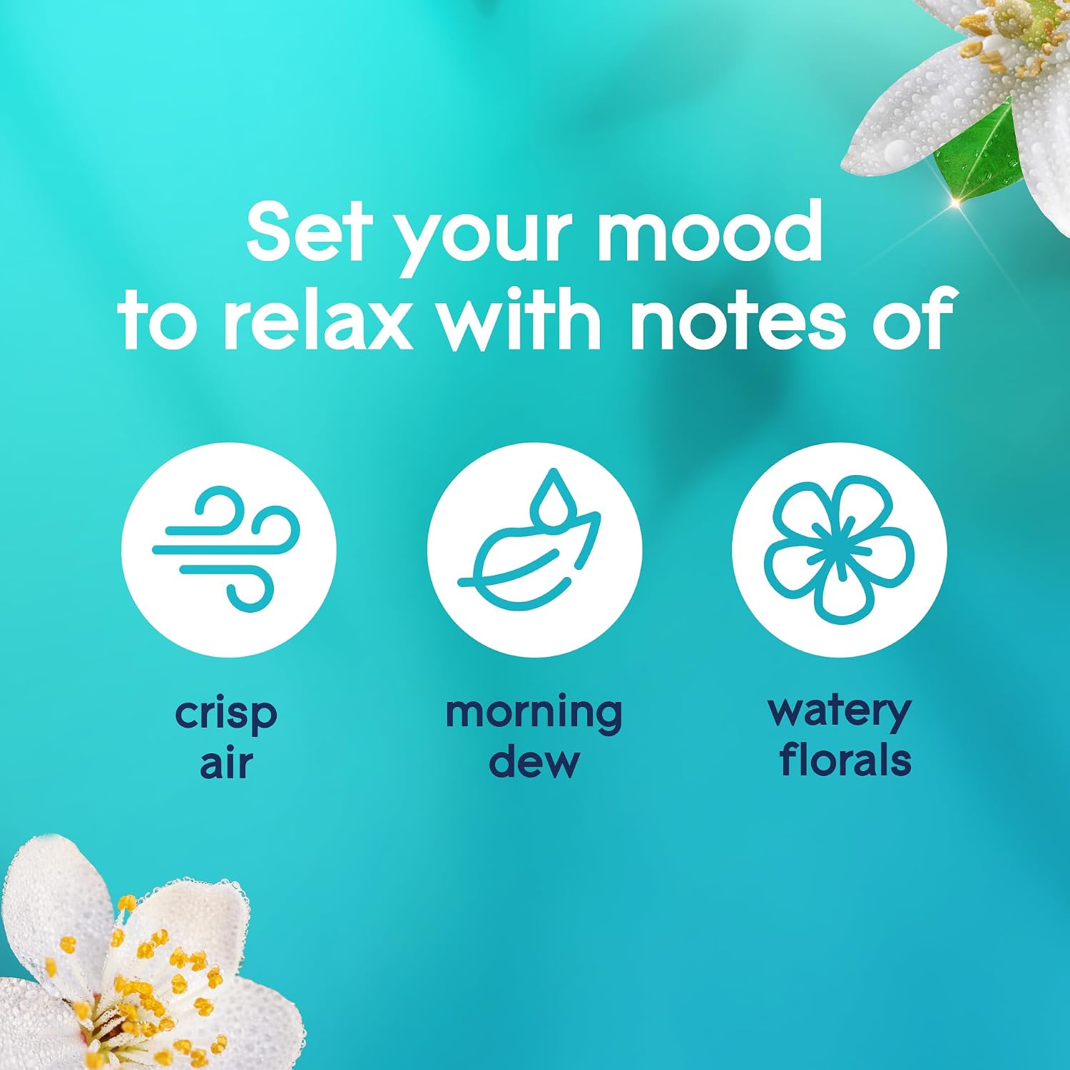 Glade Automatic Spray Refill, Air Freshener for Home and Bathroom, Cashmere Woods, 6.2 Oz