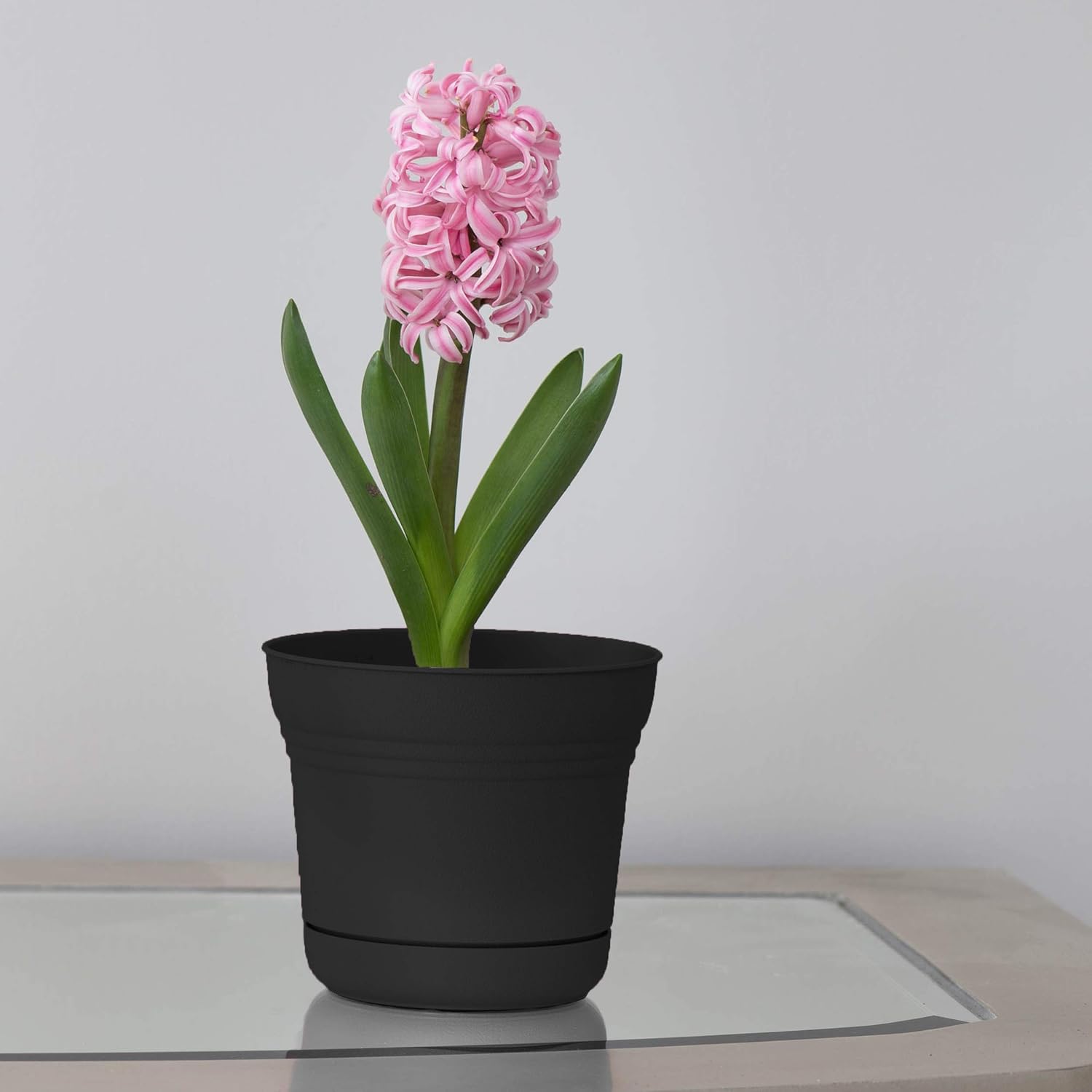 Bloem Saturn Planter with Saucer, 10", Calypso (SP1027)