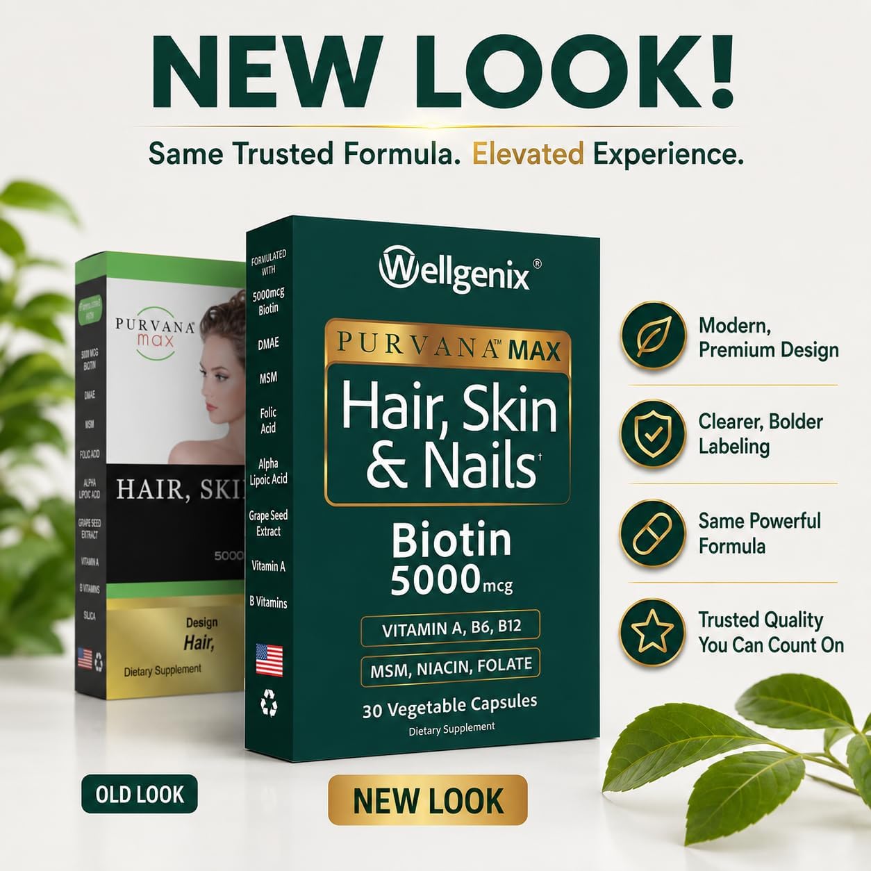 Wellgenix Purvana MAX Hair Skin and Nails Supplement – 5000mcg Biotin with MSM & B-Complex – Support for Thicker Hair, Stronger Nails & Glowing Skin – 30 Veggie Capsules | Biotin, MSM & hyaluronic acid in vegetable capsules for thicker, fuller hair, stro…