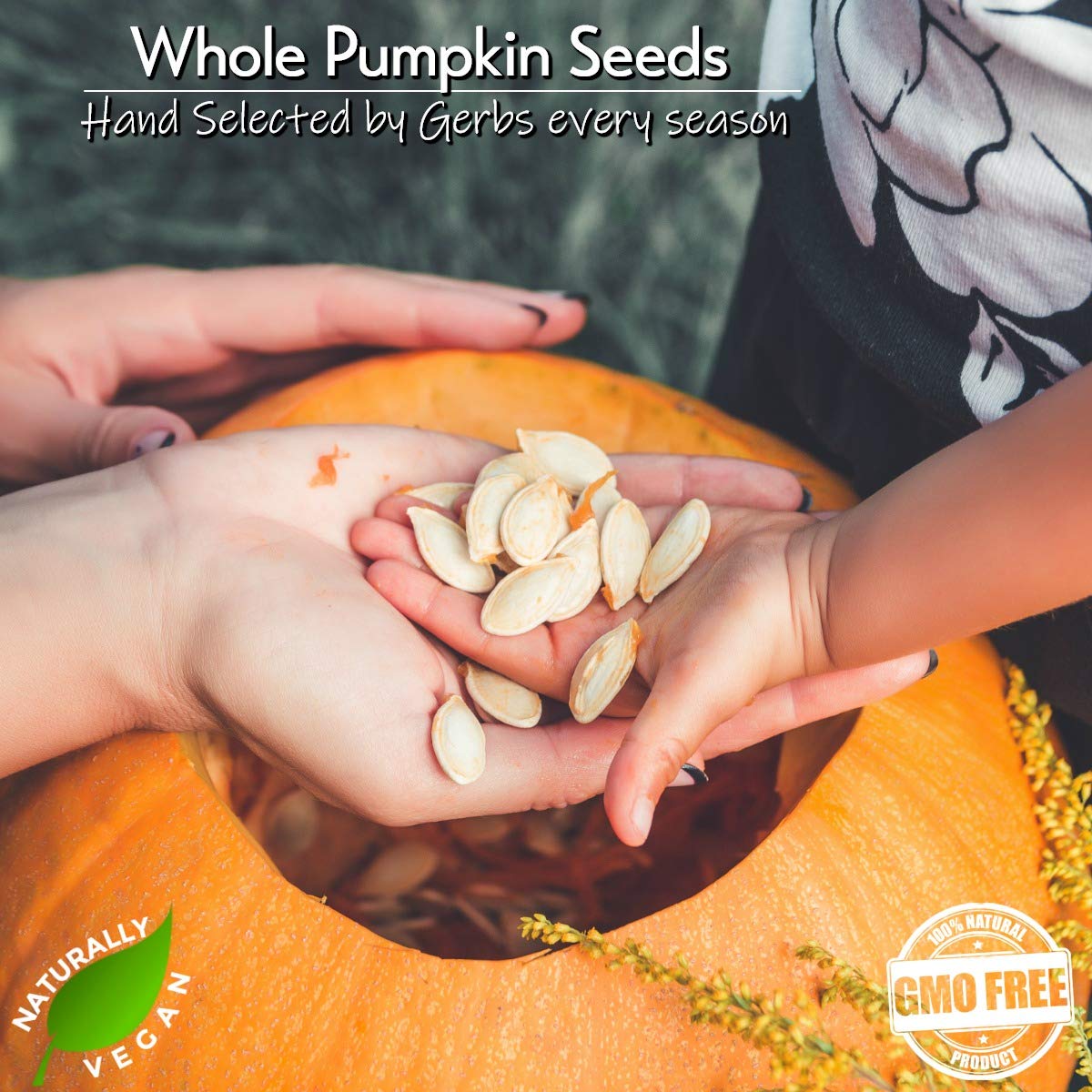 Gerbs Raw Whole Pumpkin Seeds 2 lbs. | In-Shell, 10.5 mm Size, Resealable Bag | Mildly Nutty & Crunchy | Top 14 Allergen-Free