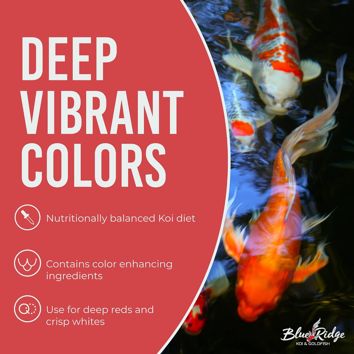 Blue Ridge Koi Platinum Pro 41% Protein Fish Food, 3/16" Pellets, 4.5 lb | Floats, softens fast; Spirulina & Canthaxanthin color support; probiotic-enriched; warm-season formula