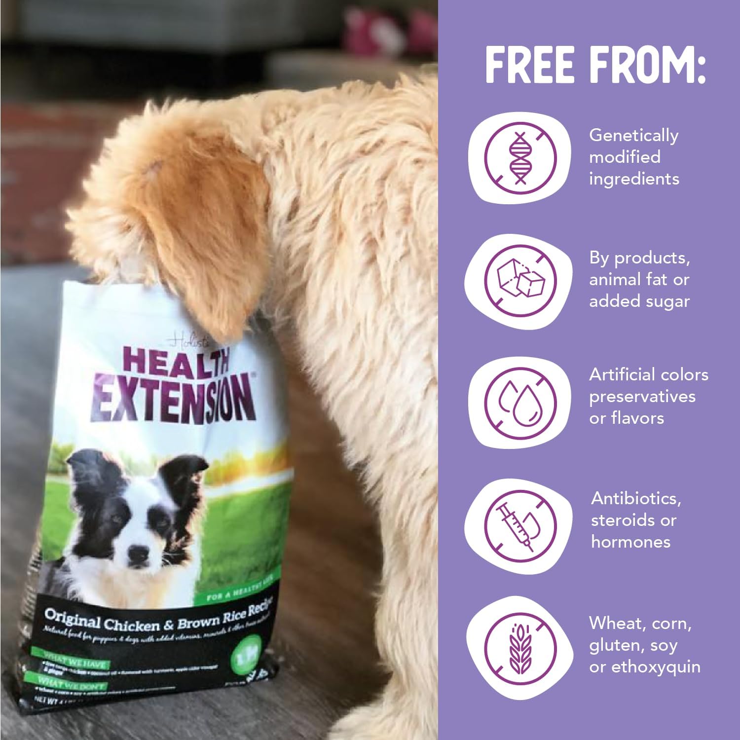 Health Extension Lamb & Brown Rice Dry Dog Food, Protein Packed Formula with Probiotics & Superfoods for Digestion & Coat Health (30 lb)