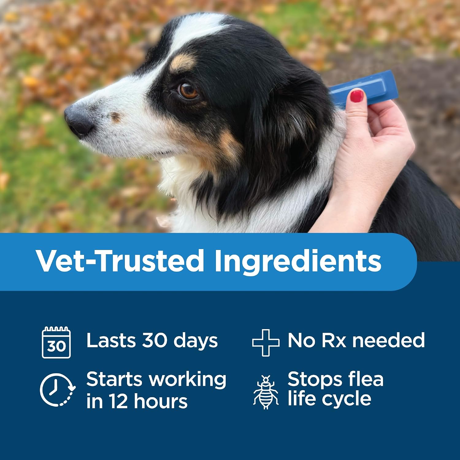 TevraPet Activate II Flea and Tick Prevention for Dogs, Large Dogs 21-55 lbs, Topical Drops, 4 Month Flea and Tick Treatment