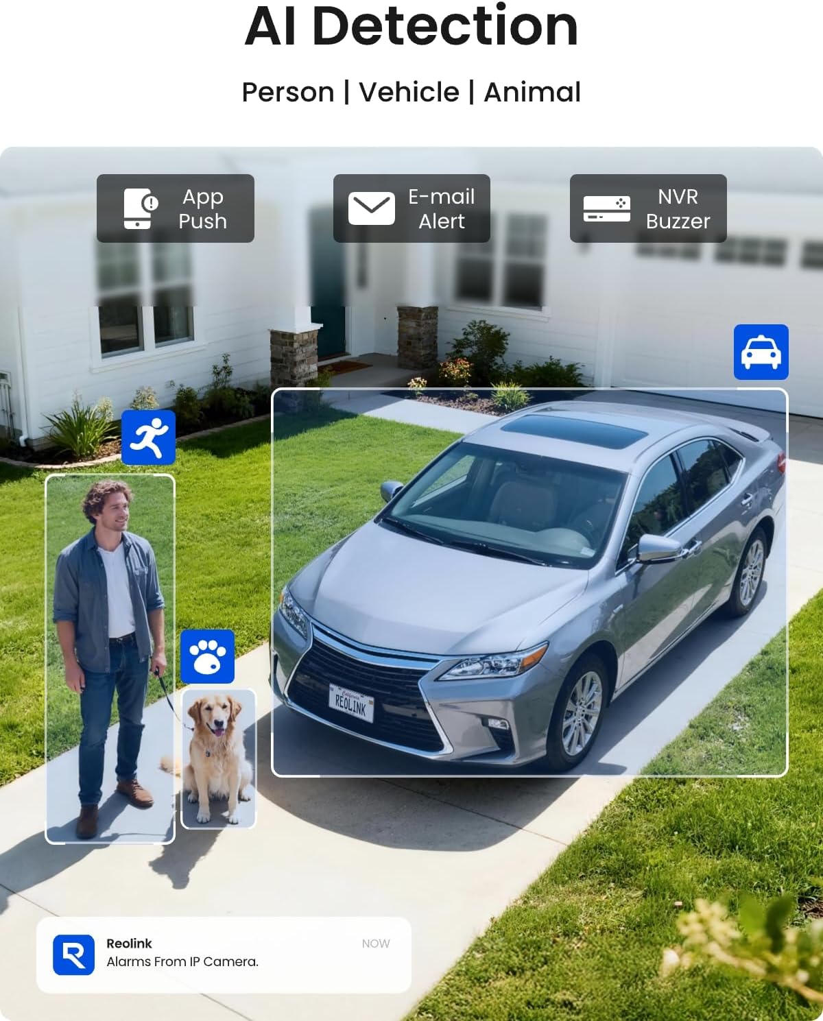 REOLINK 8CH 5MP Super HD Home Security Camera System RLK8-410B6-5MP