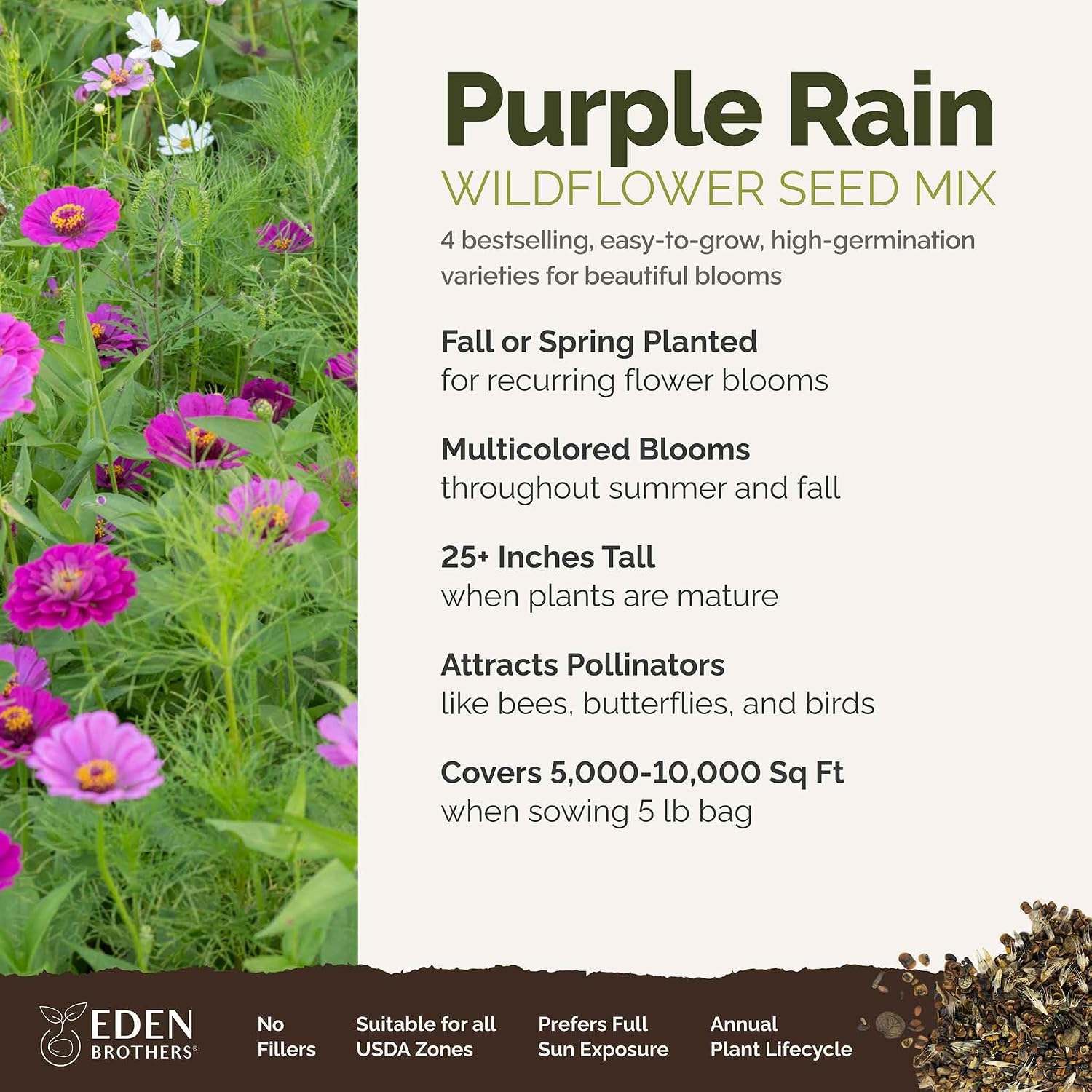 Eden Brothers All Perennial Wildflower Mixed Seeds for Planting, 1 lb, 480,000+ Seeds with Lupine, Shasta Daisy | Attracts Pollinators, Plant in Spring or Fall, Zones 3, 4, 5, 6, 7, 8, 9, 10