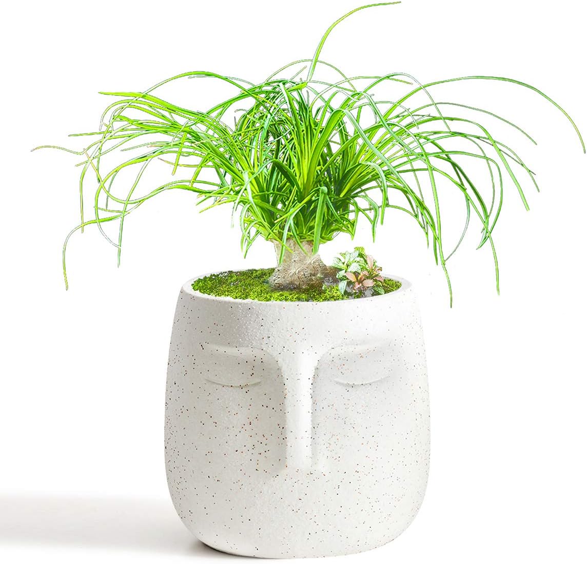 GeLive Head Plant Pot Succulent Planter with Drainage Hole Modern Statue Flower Pot Face Plant Vase Windowsill Box Art Home Decoration Indoor