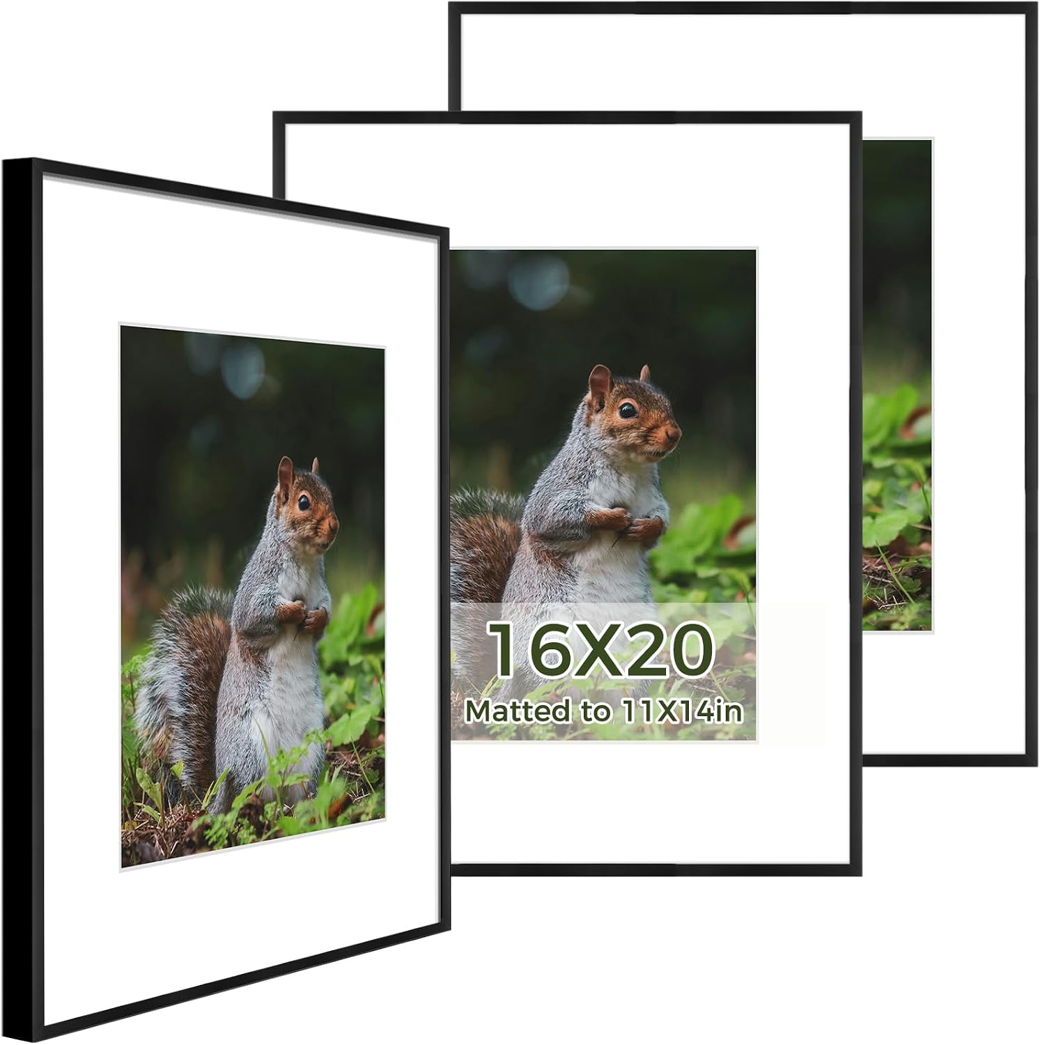 Golden State Art 3 Pack 12x12 Black Aluminum Frames, Real Glass Fronts