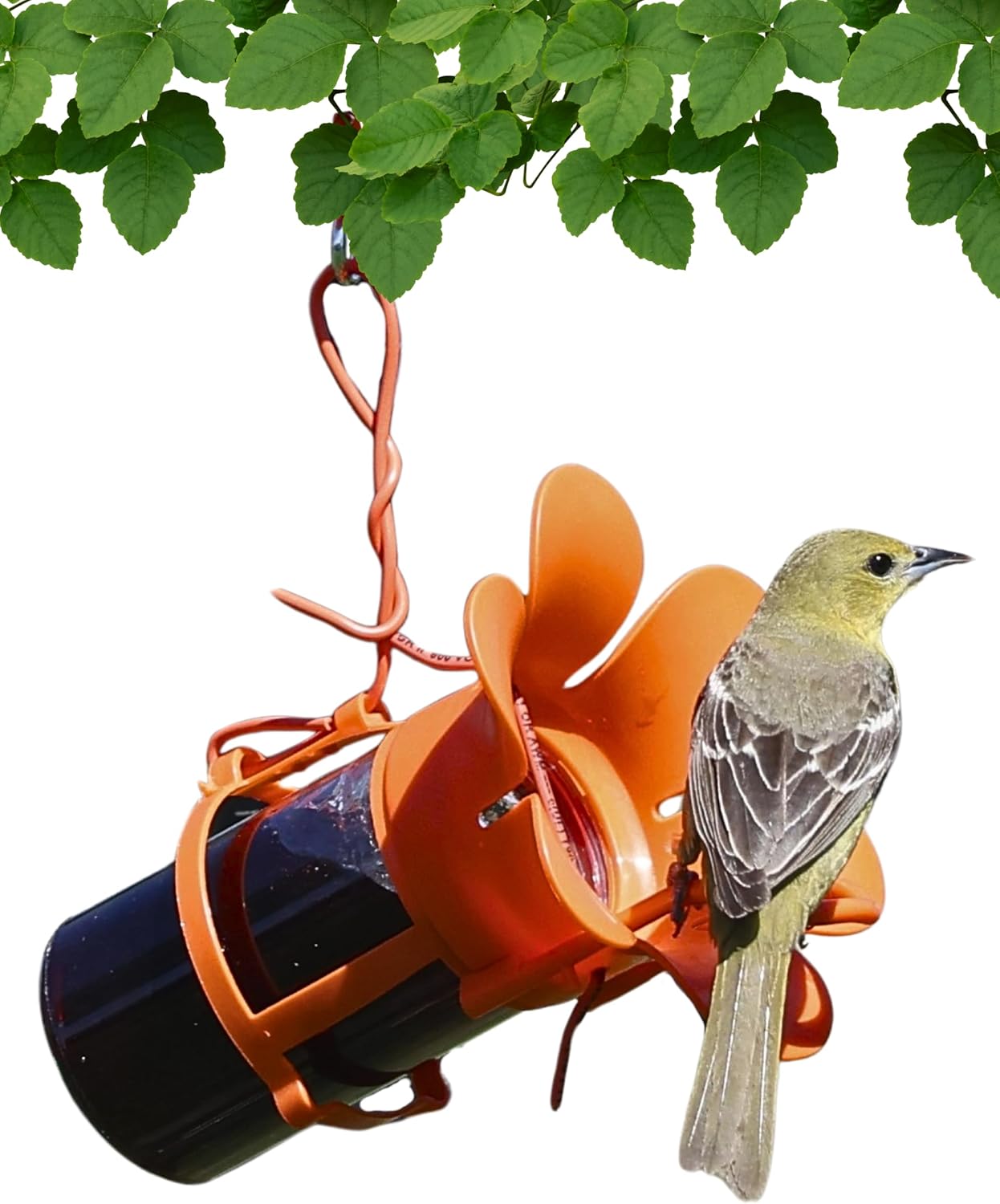 Glass Jelly and Jam Bird Feeder, Hanging Oriole Treat Dish | Jelly and Jam Feeder; Glass Dish; Hanging Design; Attracts Orioles