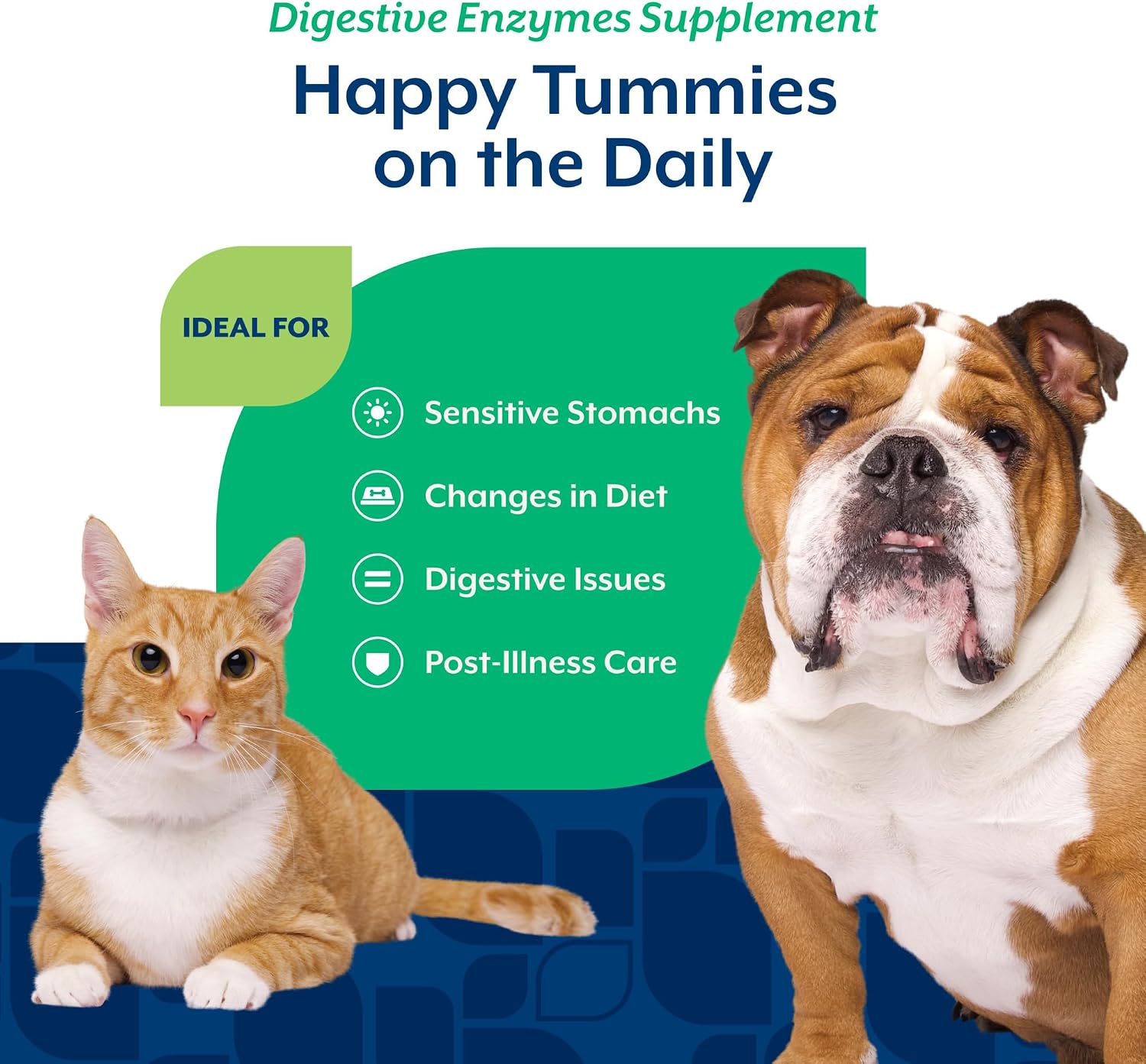 NaturVet Digestive Enzymes with Pre & Probiotic for Dogs & Cats - 8 oz | Supports Diet Changes & a Healthy Digestive Tract with Prebiotics, Powder