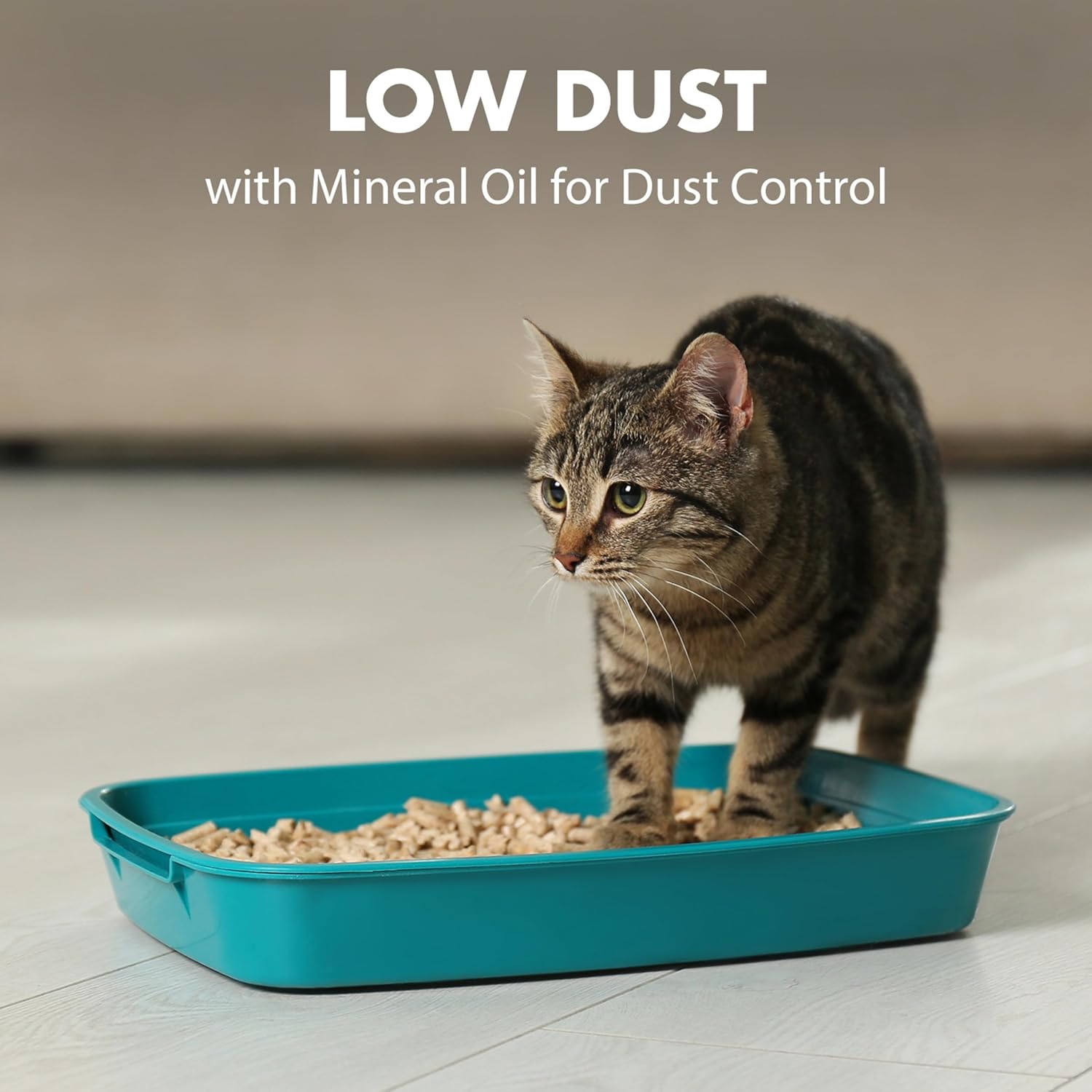 ARM & HAMMER Naturals Clumping Cat Litter, Multi Cat, 18 lbs | Plant-Based, Easy Scoop Clumps, Outstanding Odor Control, 2X Liquid Absorption, Low Dust, Lightweight Formula