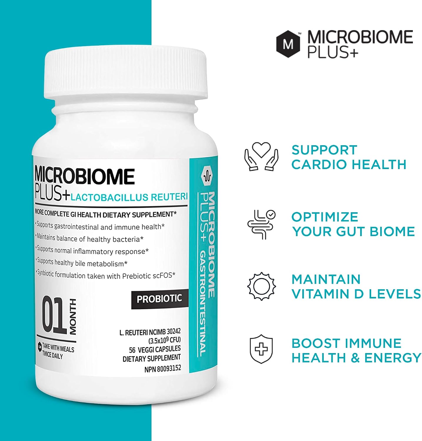 Microbiome Plus Gastrointestinal Probiotics L Reuteri NCIMB 30242 GI Digestive Supplements Capsule