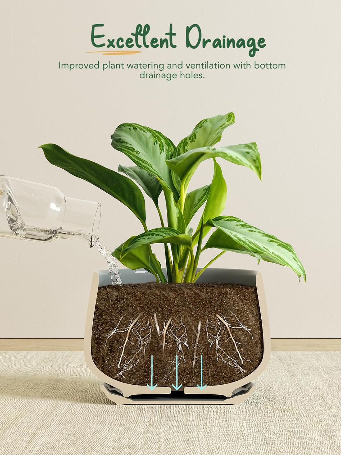 LE TAUCI Plant Pots, 4.1+5.1+6.5 inch, Set of 3, Ceramic Planters with Drainage Hole and Saucer, Indoor Flower Pot with Hole Mesh Pad, Gifts for Mom
