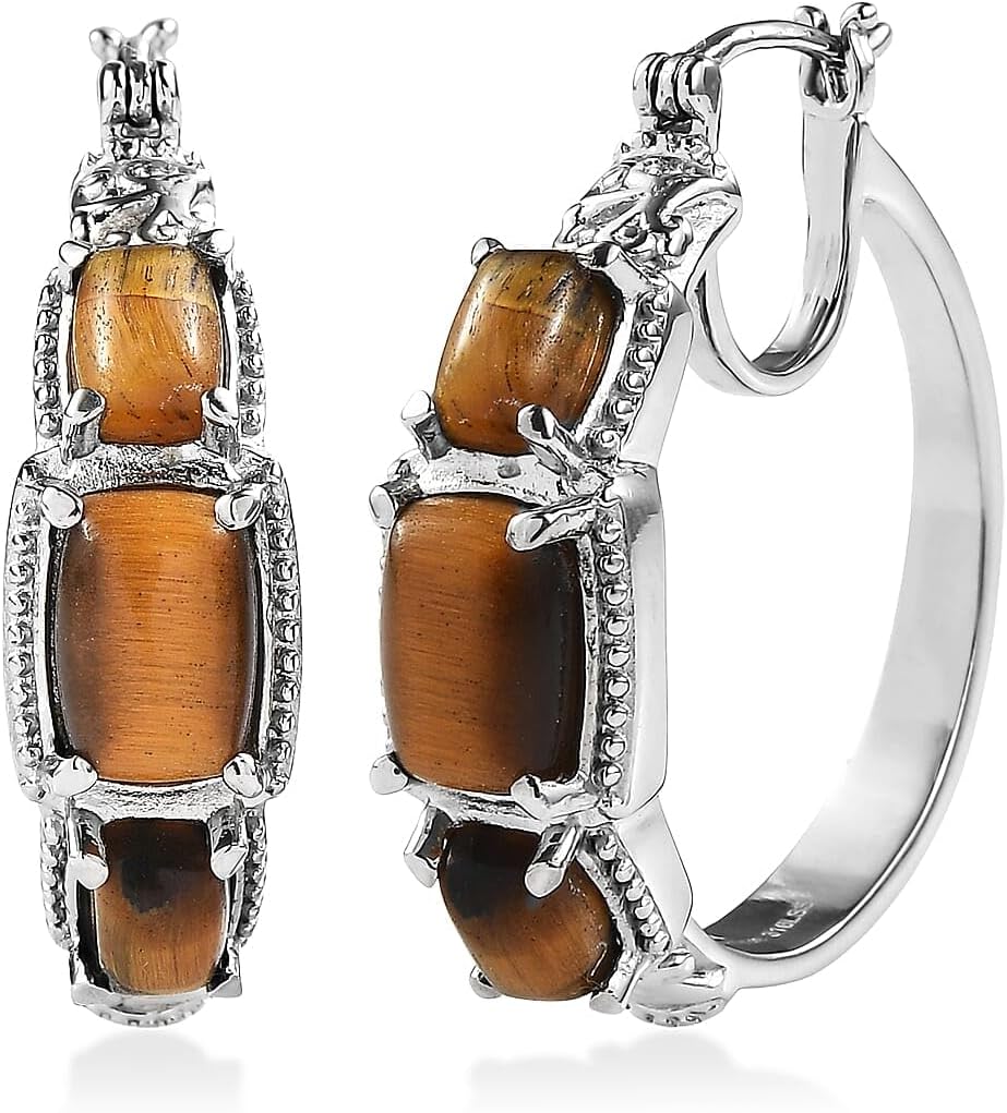 Tigers Eye 10.50 ctw Earrings in Stainless Steel