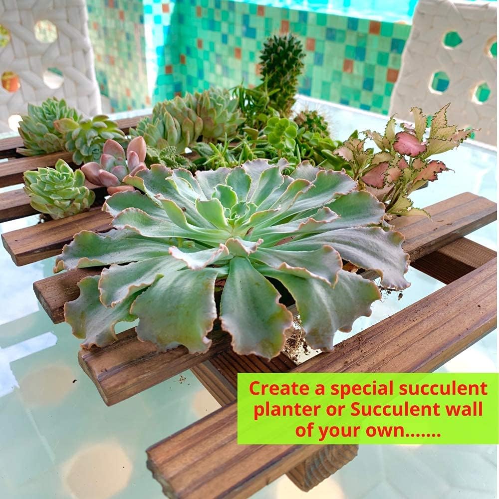 ShopLaLa Wall Planter (60cm, 2 Pack) Hanging Planters for Indoor Plants