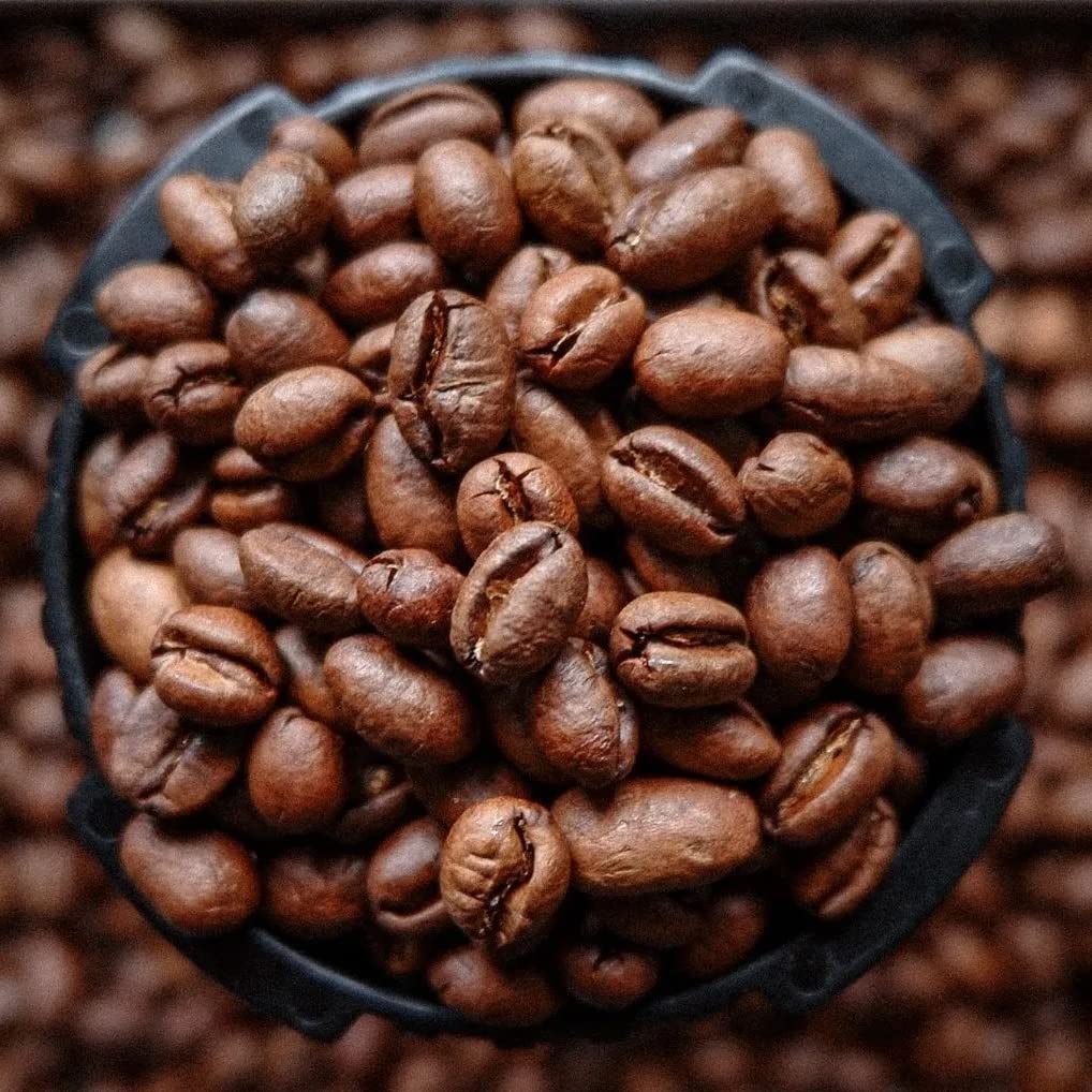 Blue Horse 100% Kona Coffee Whole Bean - 16 oz Medium Roast, Farm Fresh | Certified Organic, Arabica Whole Beans,, Grown In Hawaii USA, Shade Grown, Handpicked, Vacuum Sealed Bag, Caffeinated, Vegan