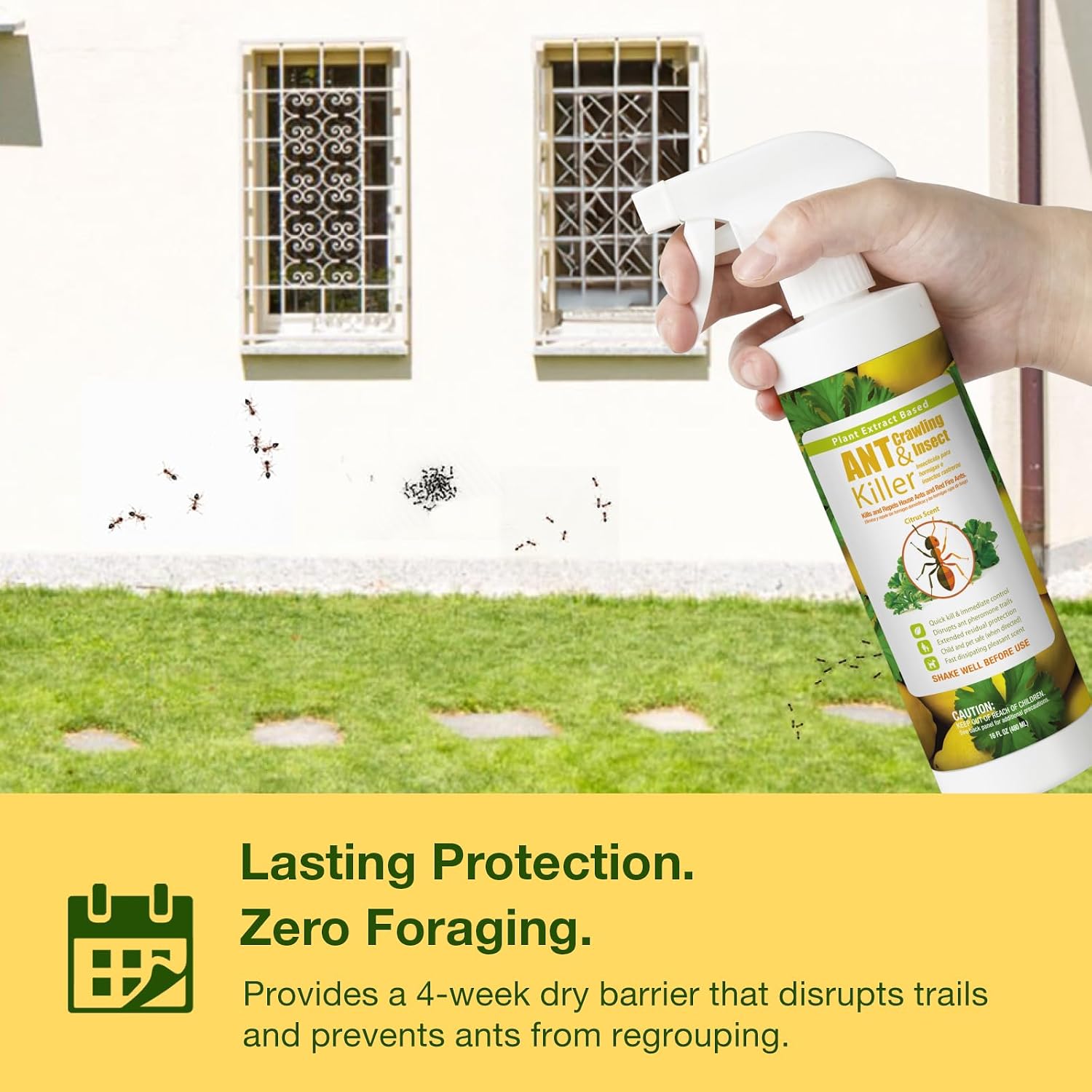 EcoVenger By EcoRaider Ant Killer & Crawling Insect Killer, 16 OZ Ready to Use, Indoor & Outdoor, Kills & Repels, Lasting Prevention, Natural & Non-Toxic Plant Based Formula, Pleasant Citrus Scent