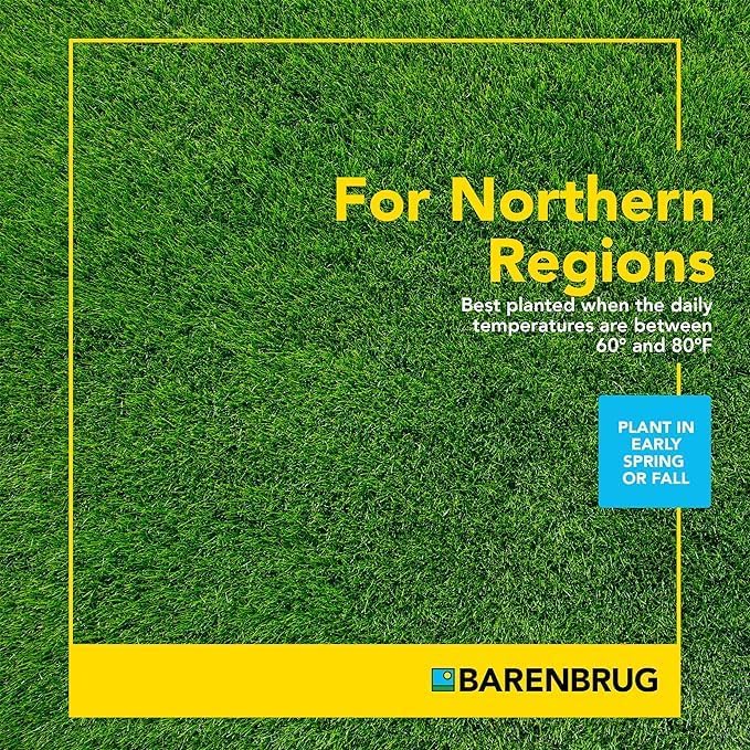 BARENBRUG USA TVKBG7 TV 7 lb Kentucky Bluegrass Seed
