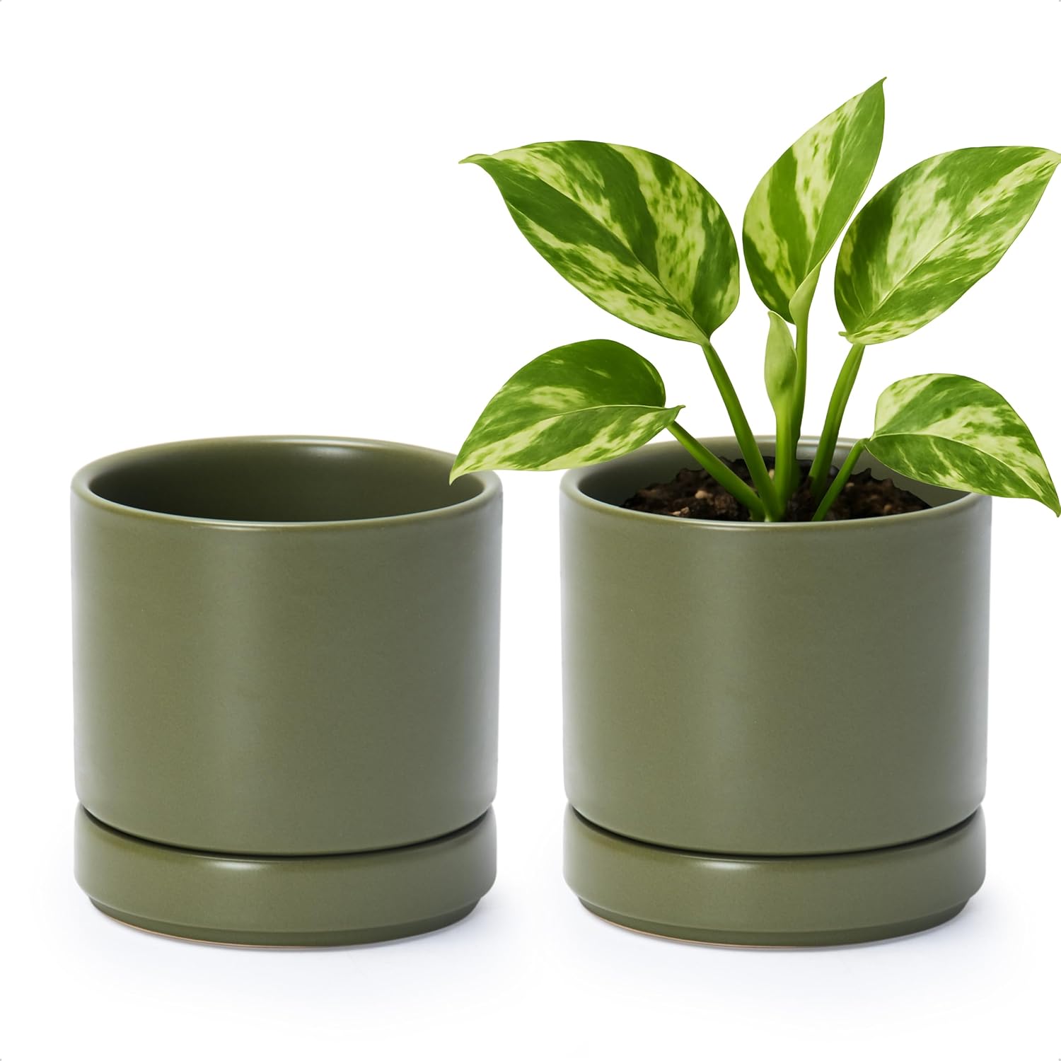 D'vine Dev 2-Pack Ceramic Pots with Saucers, White/Grey, 4.7 in, 94-V-B-6