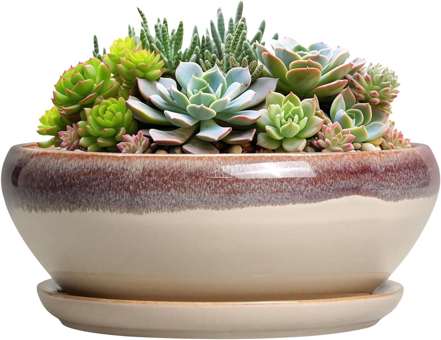 SQOWL 7 Inch Round Ceramic Succulent Planter Pot Drip Glazed Shallow Planter with Drainage Bamboo Tray for Indoor Plants